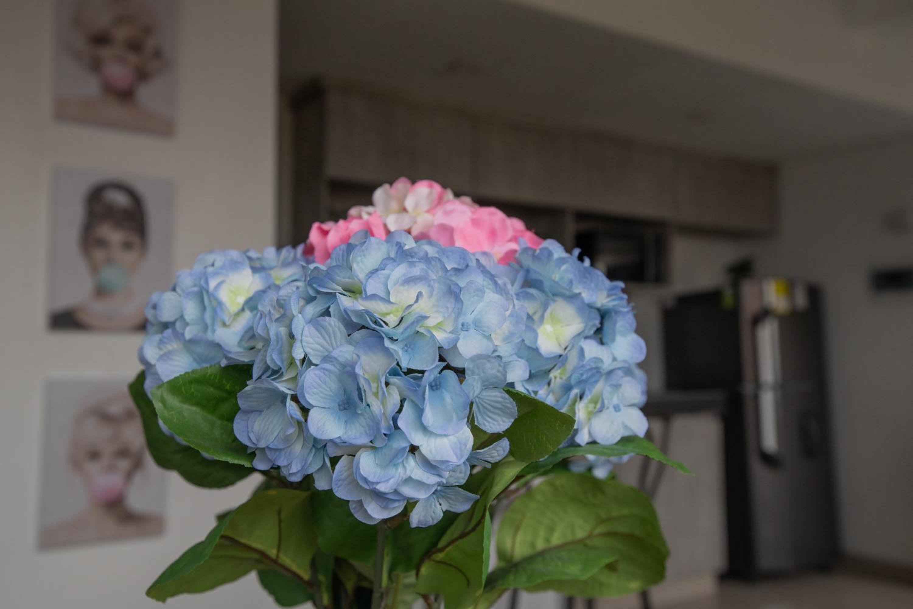 Stylish Suite in El Poblado, Near Provenza!