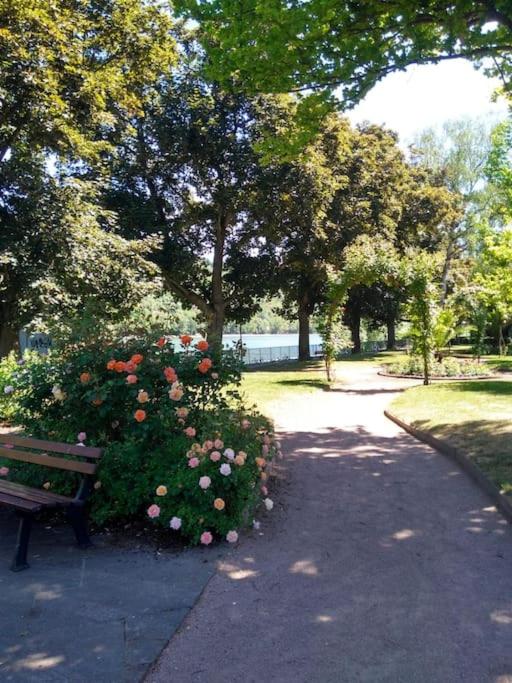 Urlaub am Rhein, Ferienwohnung mit Garten