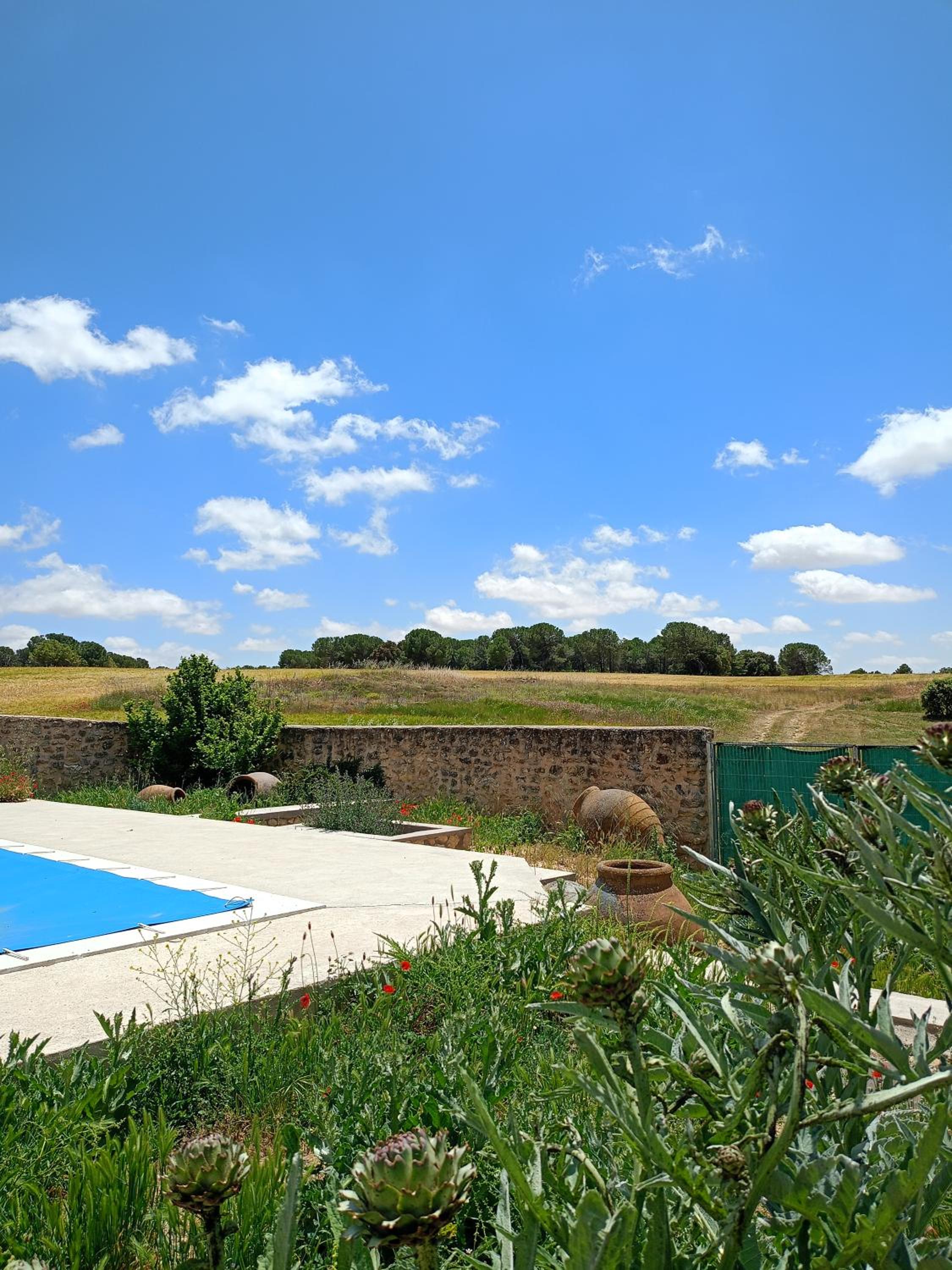 Malpesa Rural