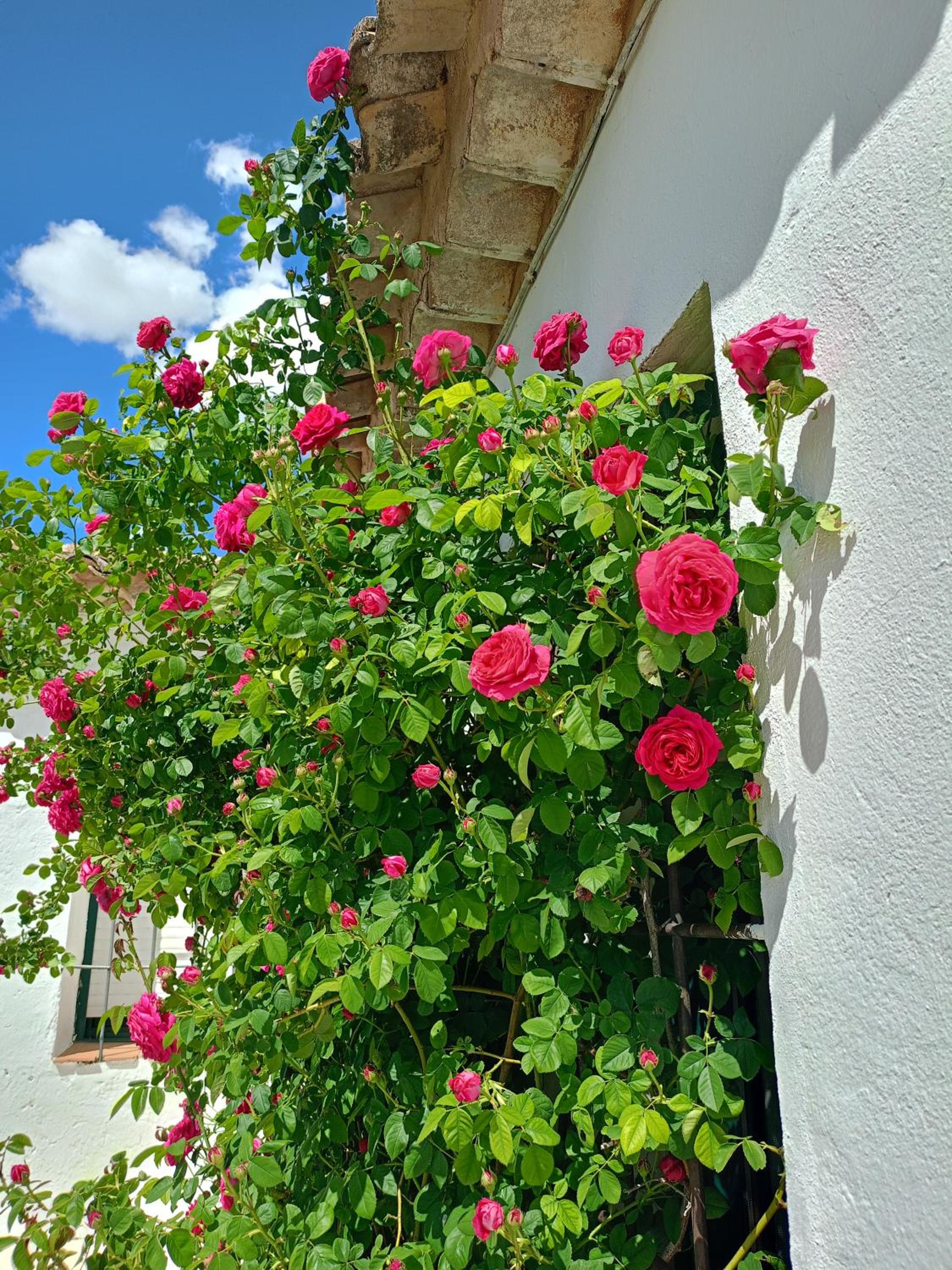 Malpesa Rural