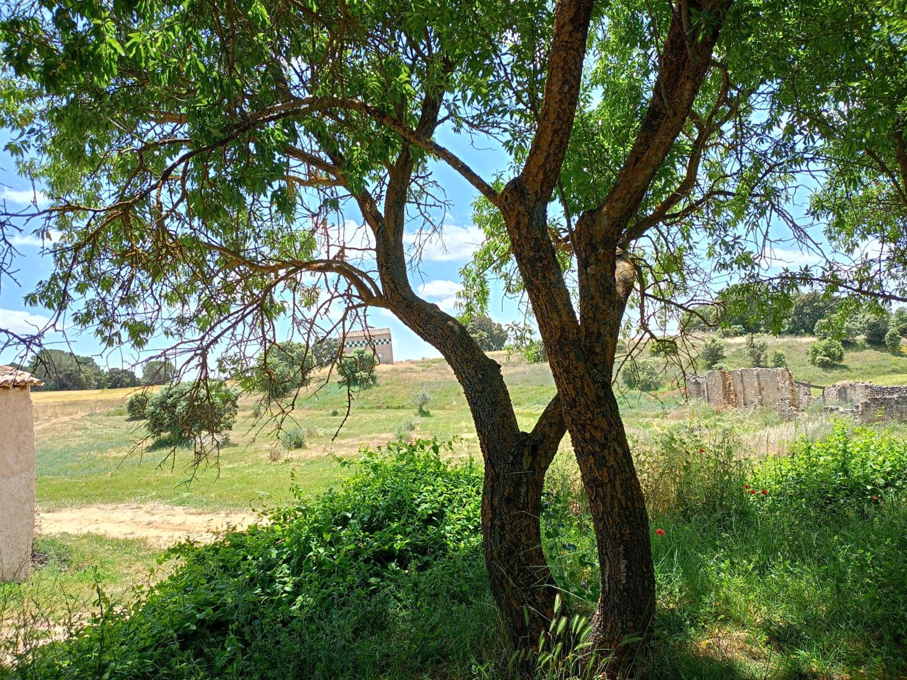 Malpesa Rural