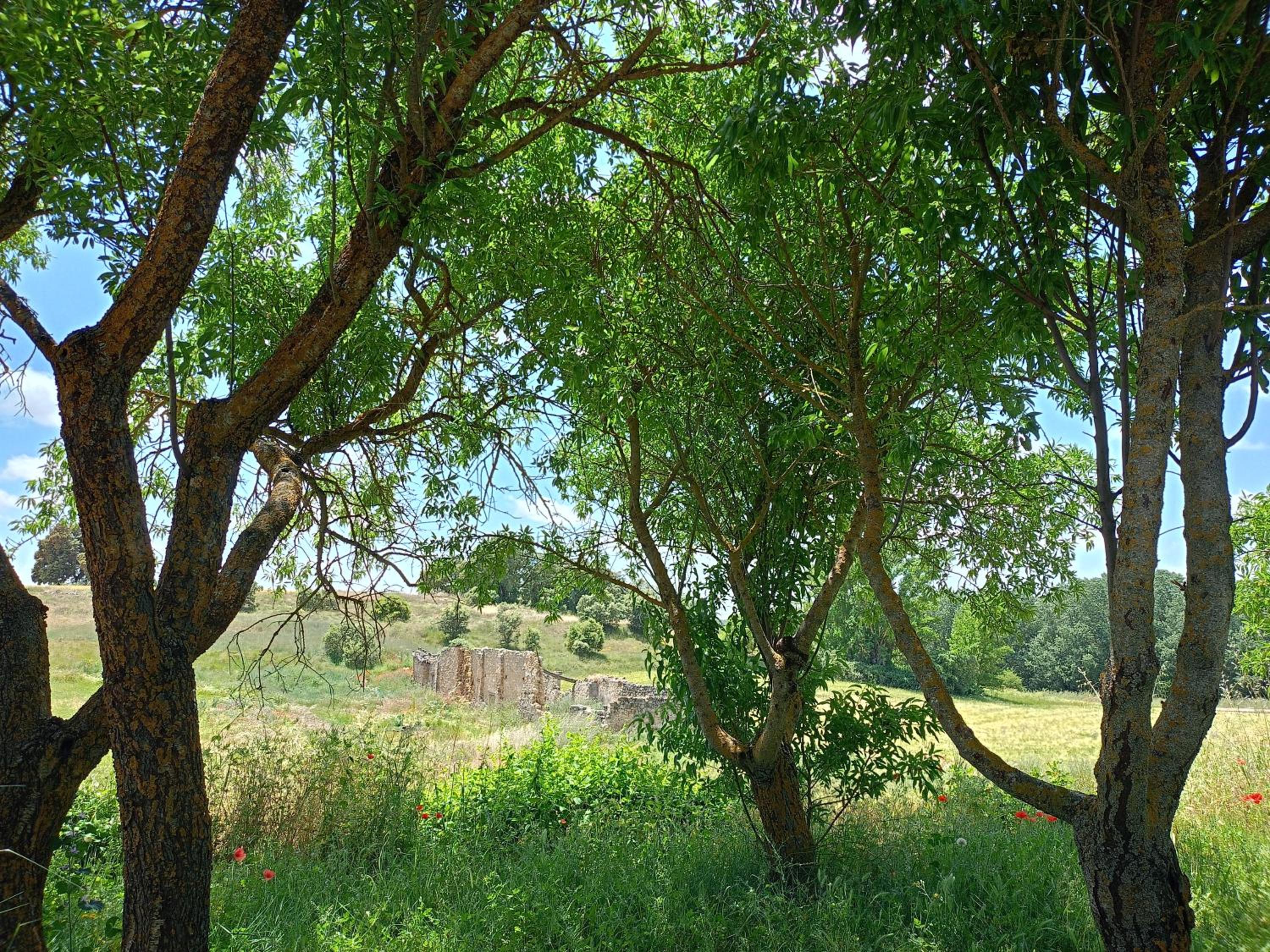 Malpesa Rural