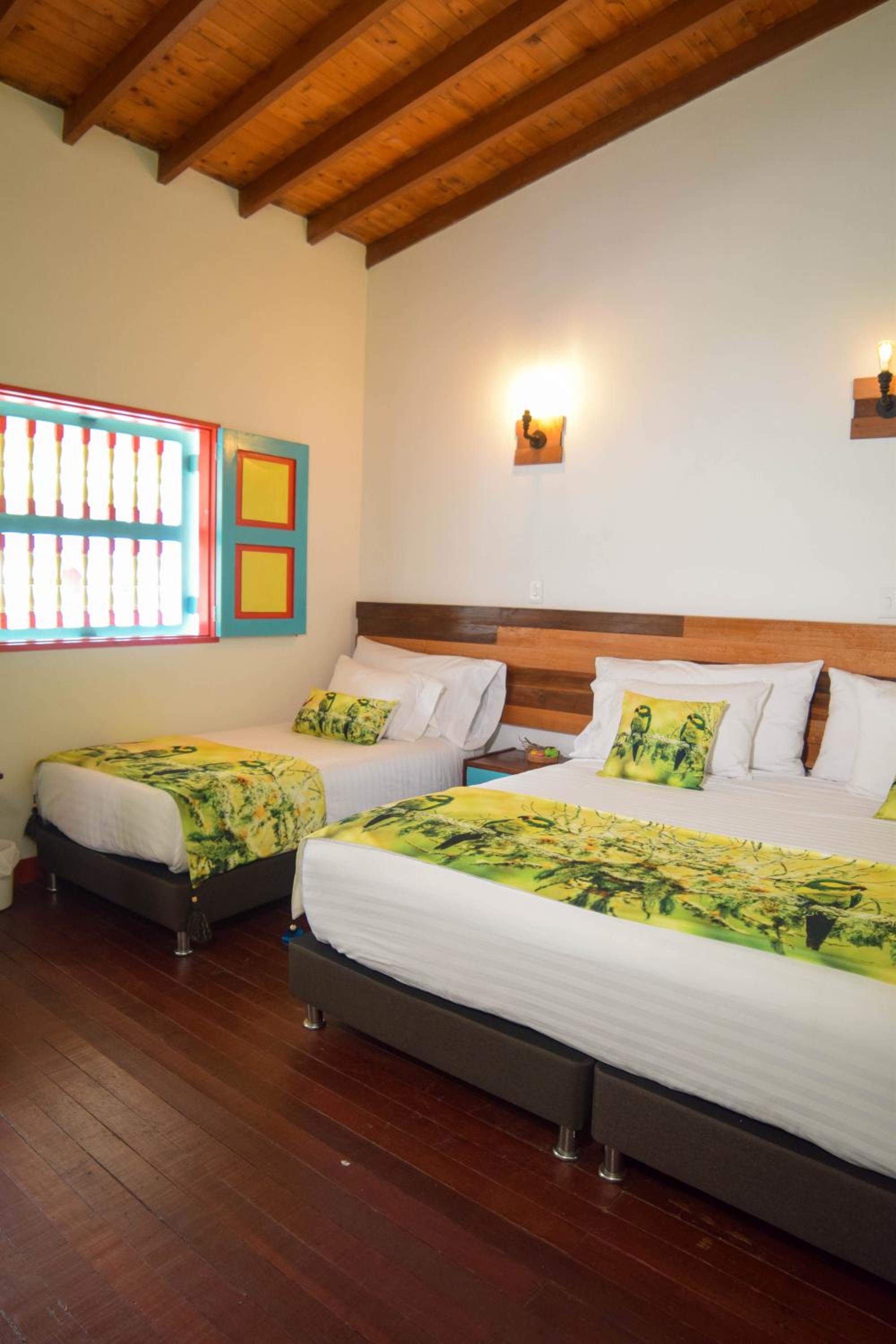 Dreamer Cocora