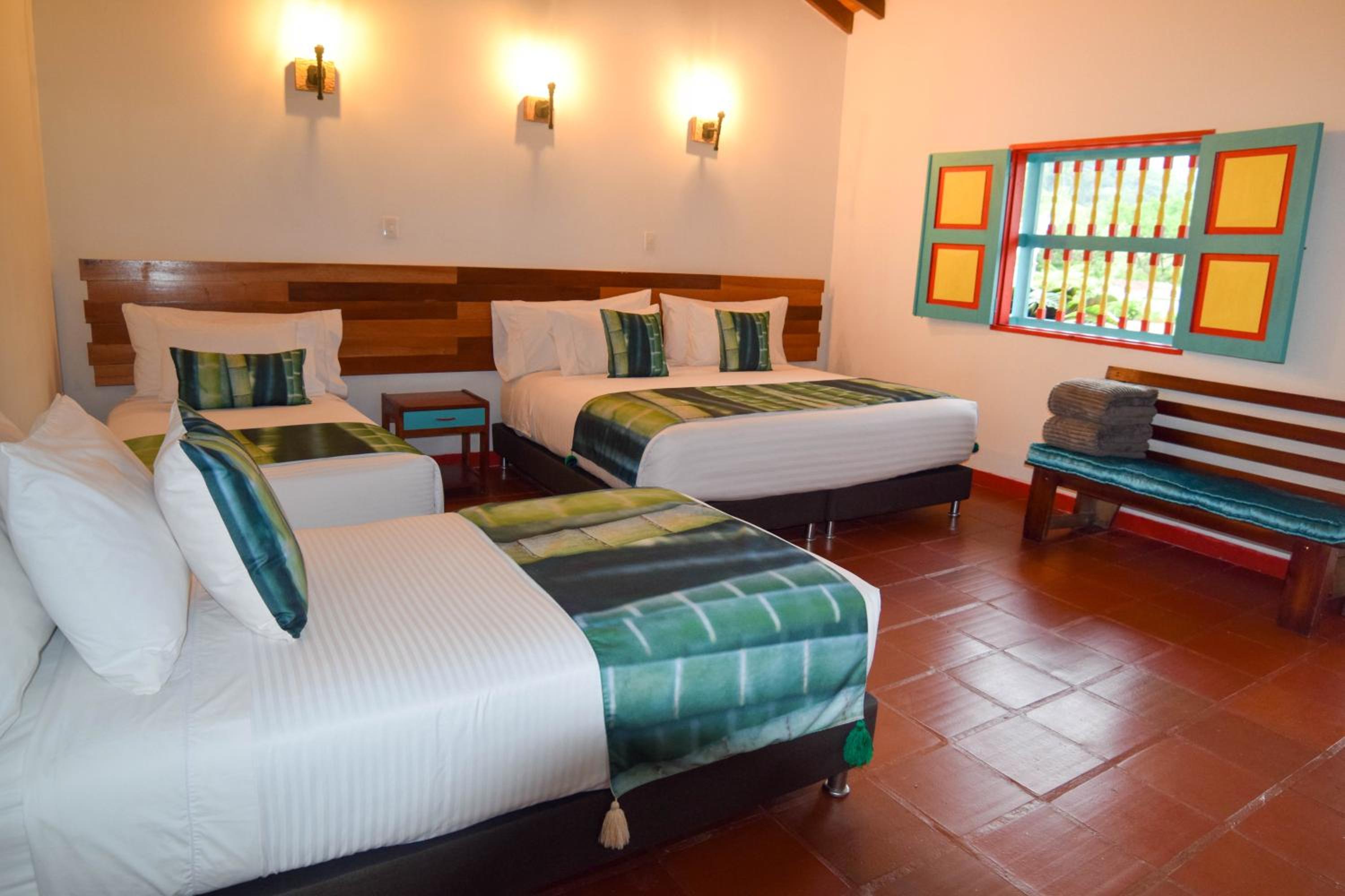 Dreamer Cocora