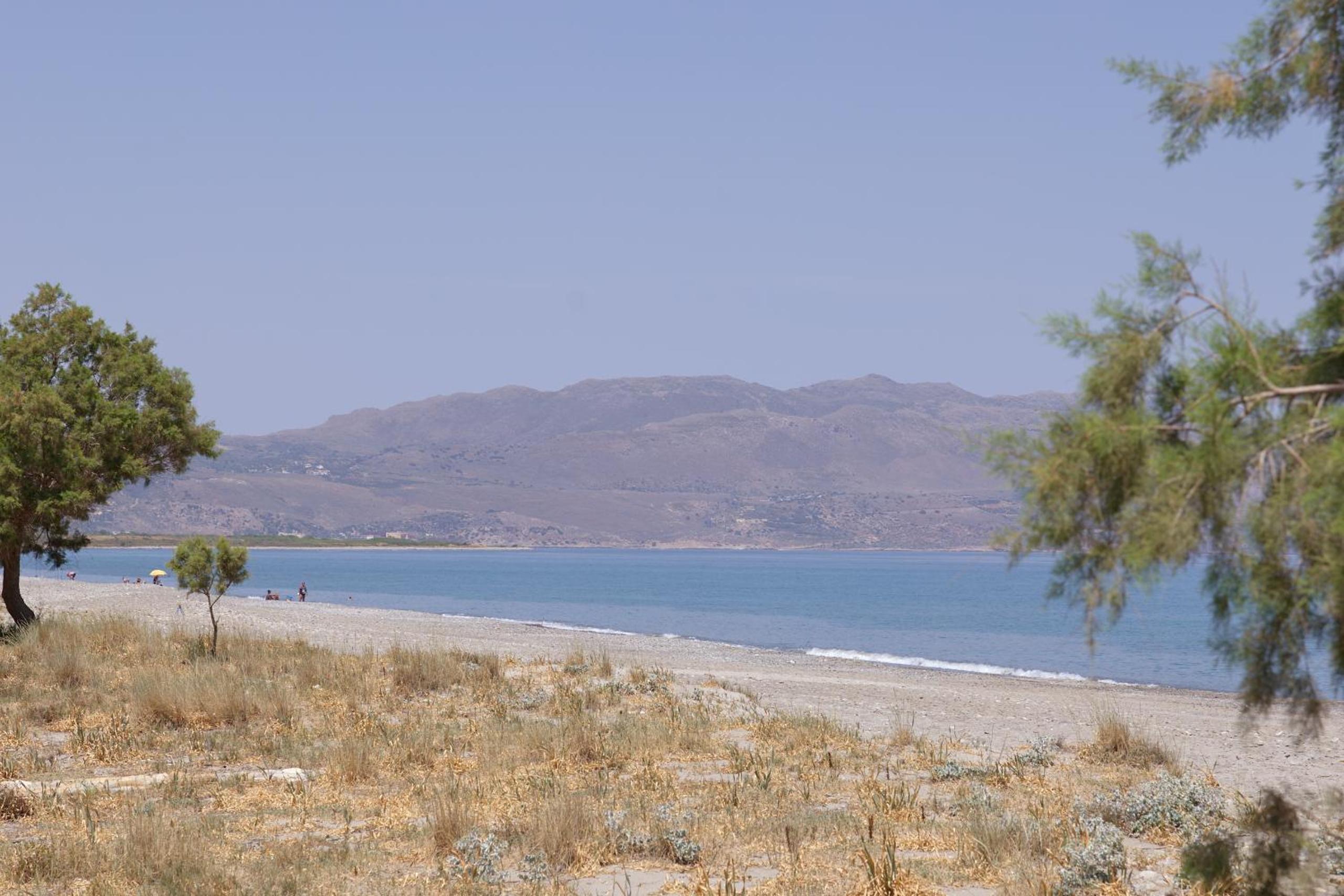 Photo 44