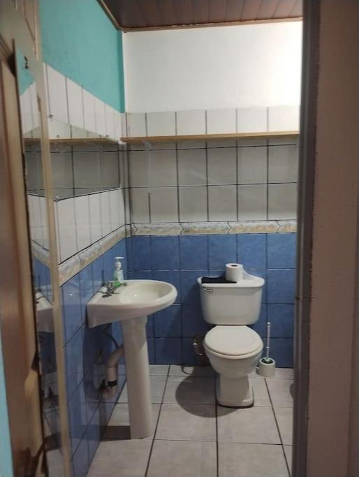 viajero solitario