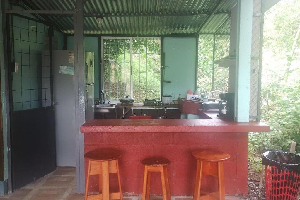 viajero solitario