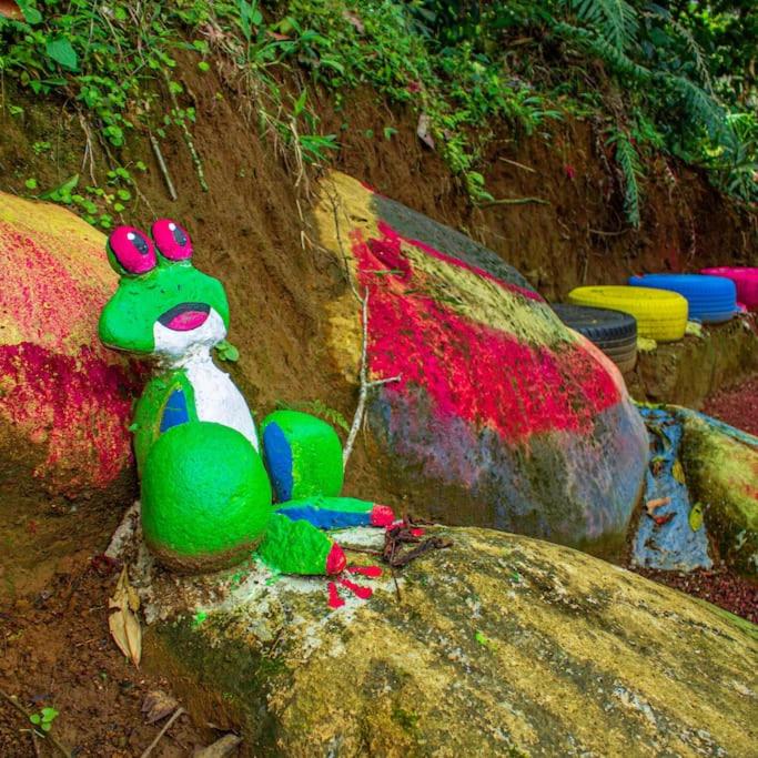 viajero solitario