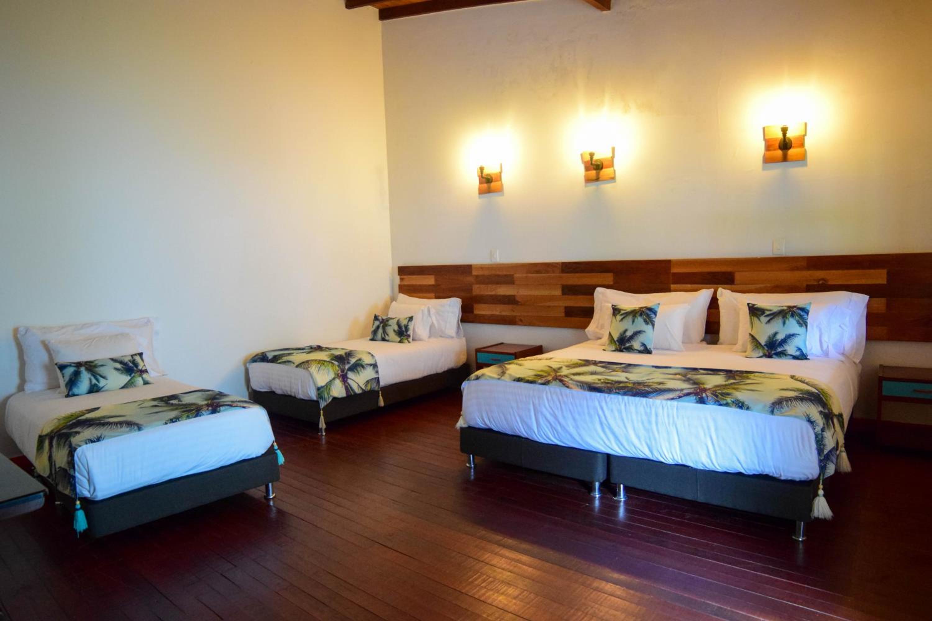 Dreamer Cocora