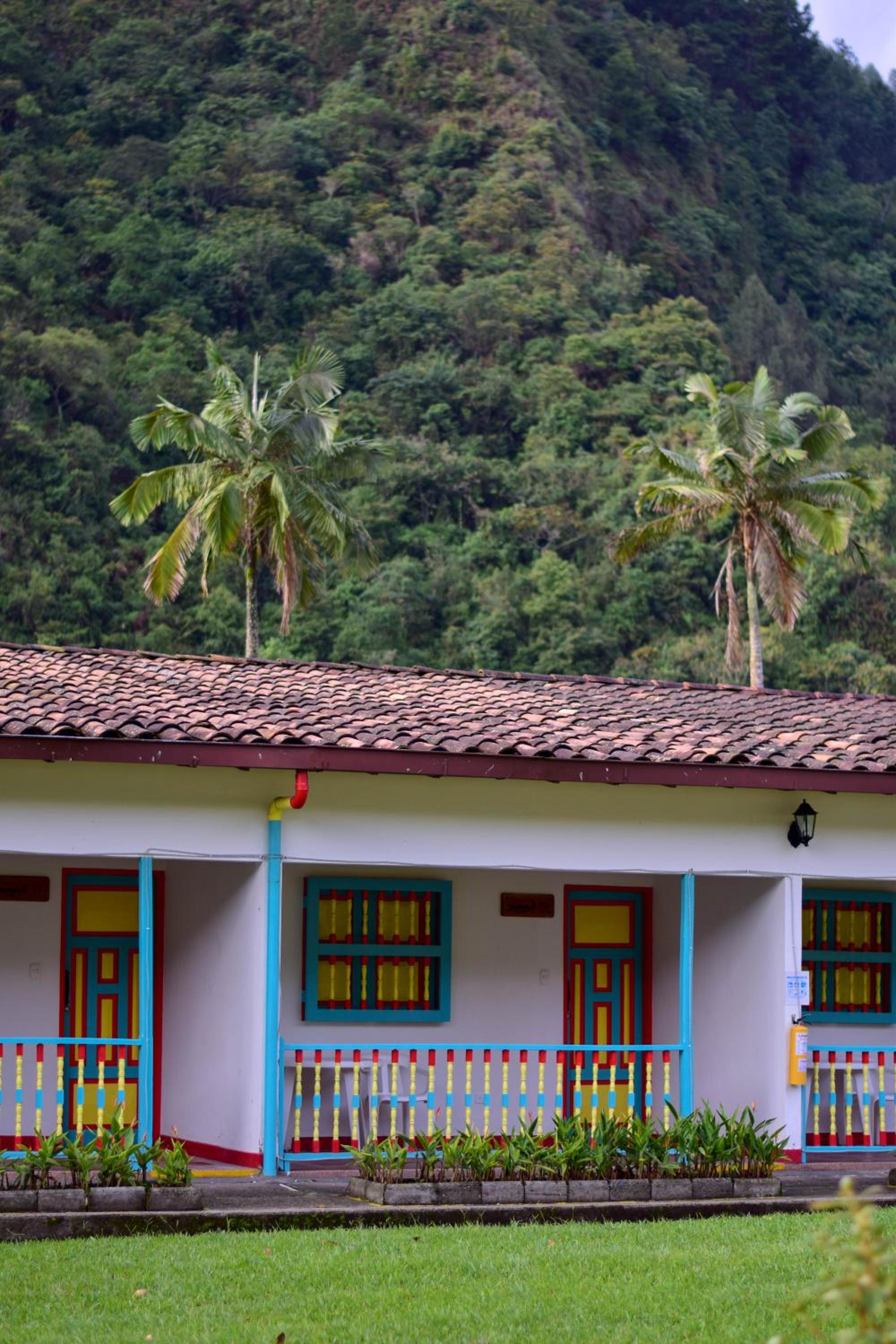 Dreamer Cocora