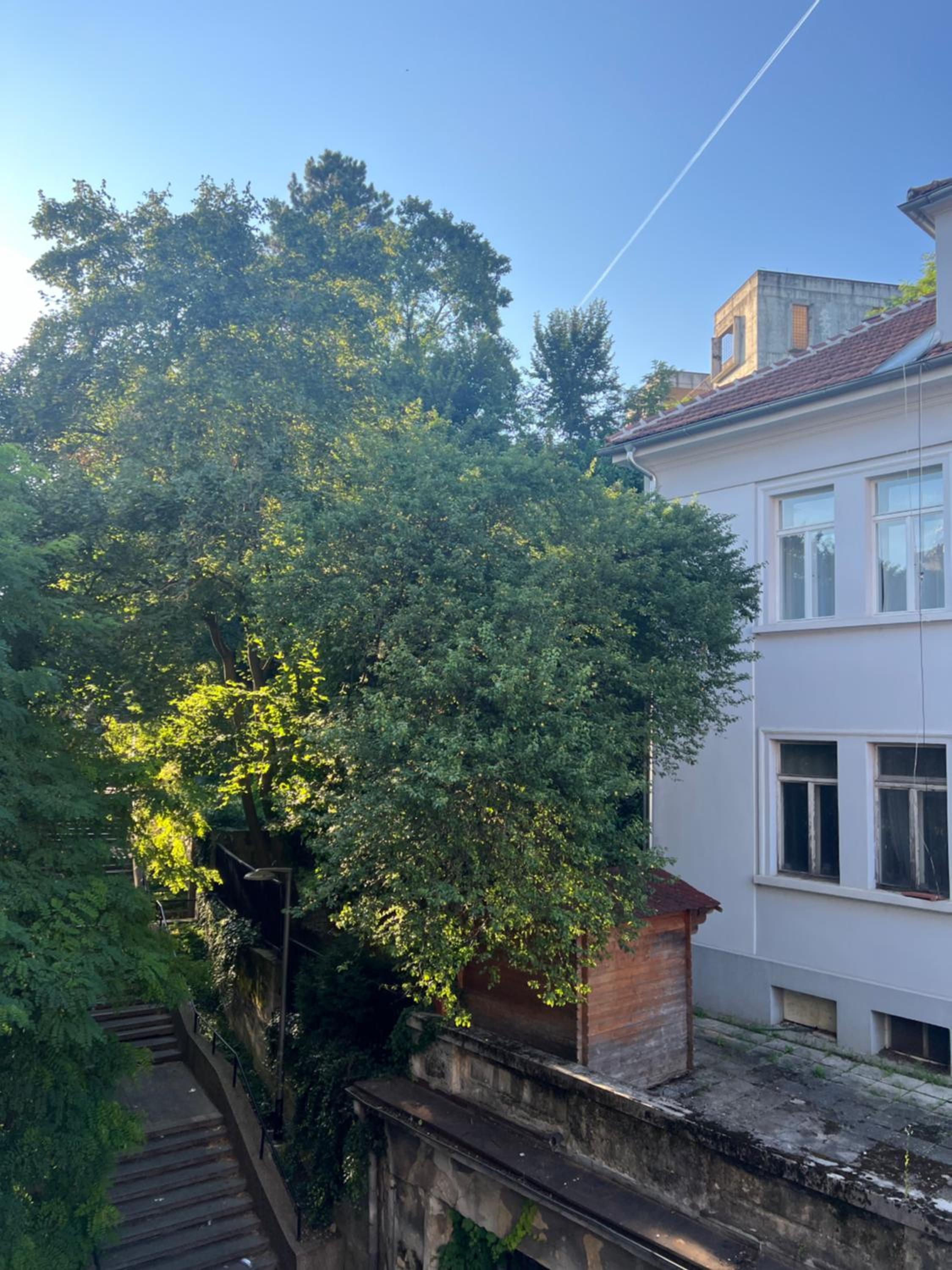 Photo 27