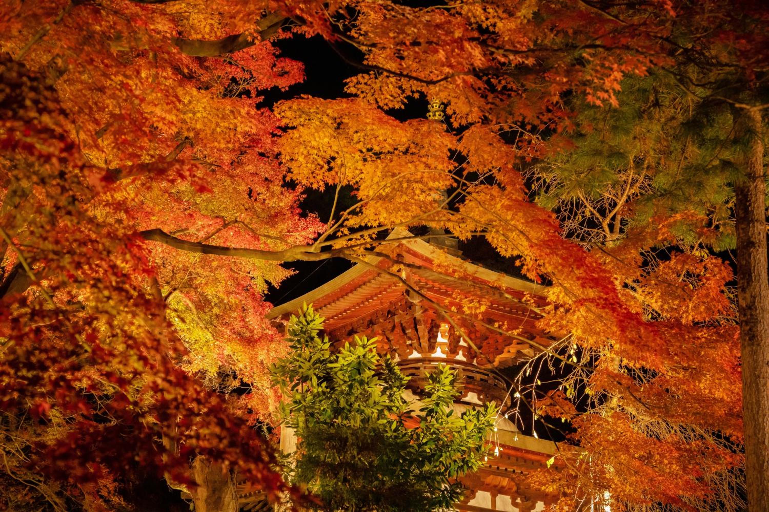 Kamisuwa Onsen Shinyu