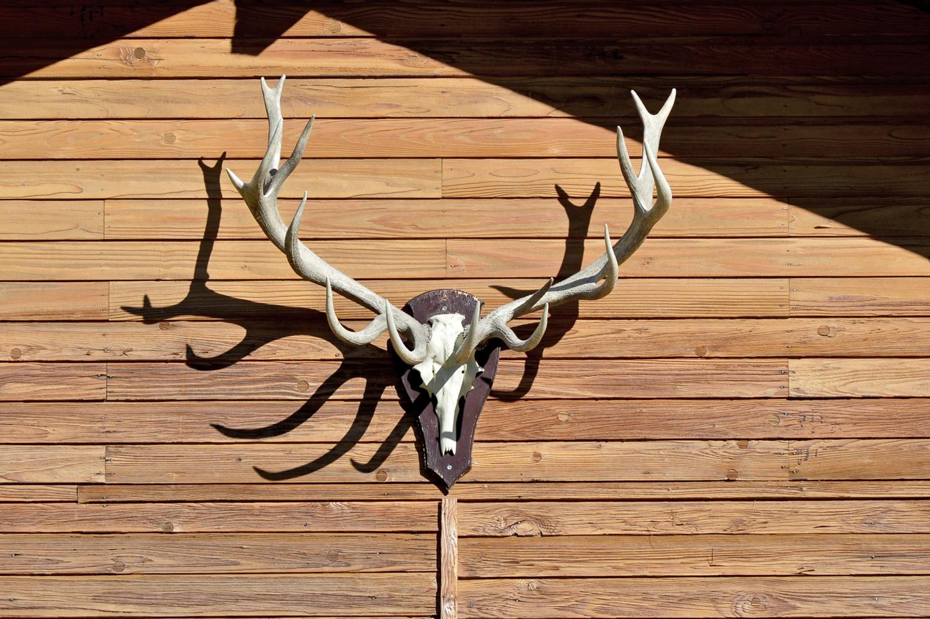 Chalet am wilden Kaiser