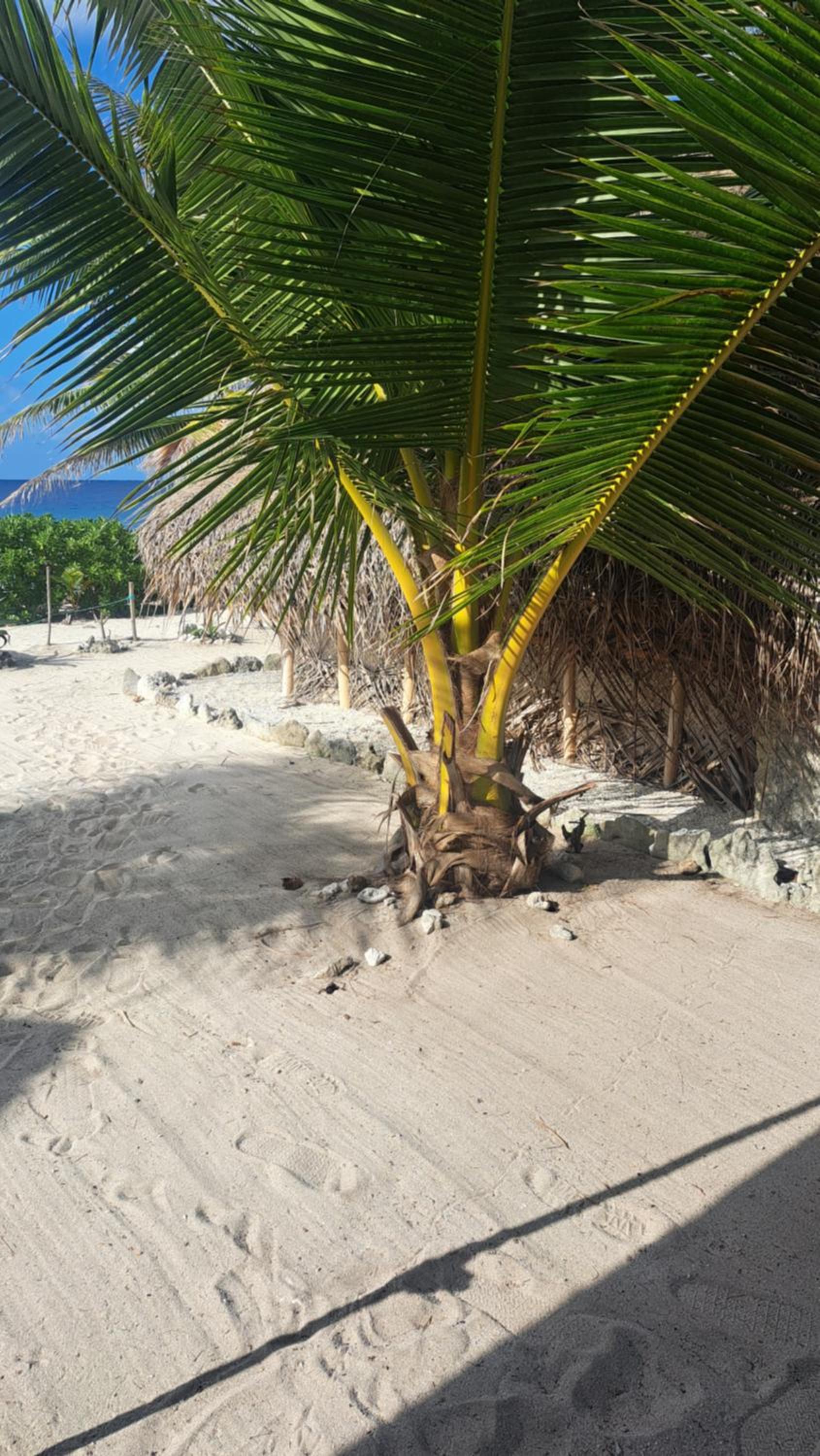 Mahana Tua Lodge Huahine