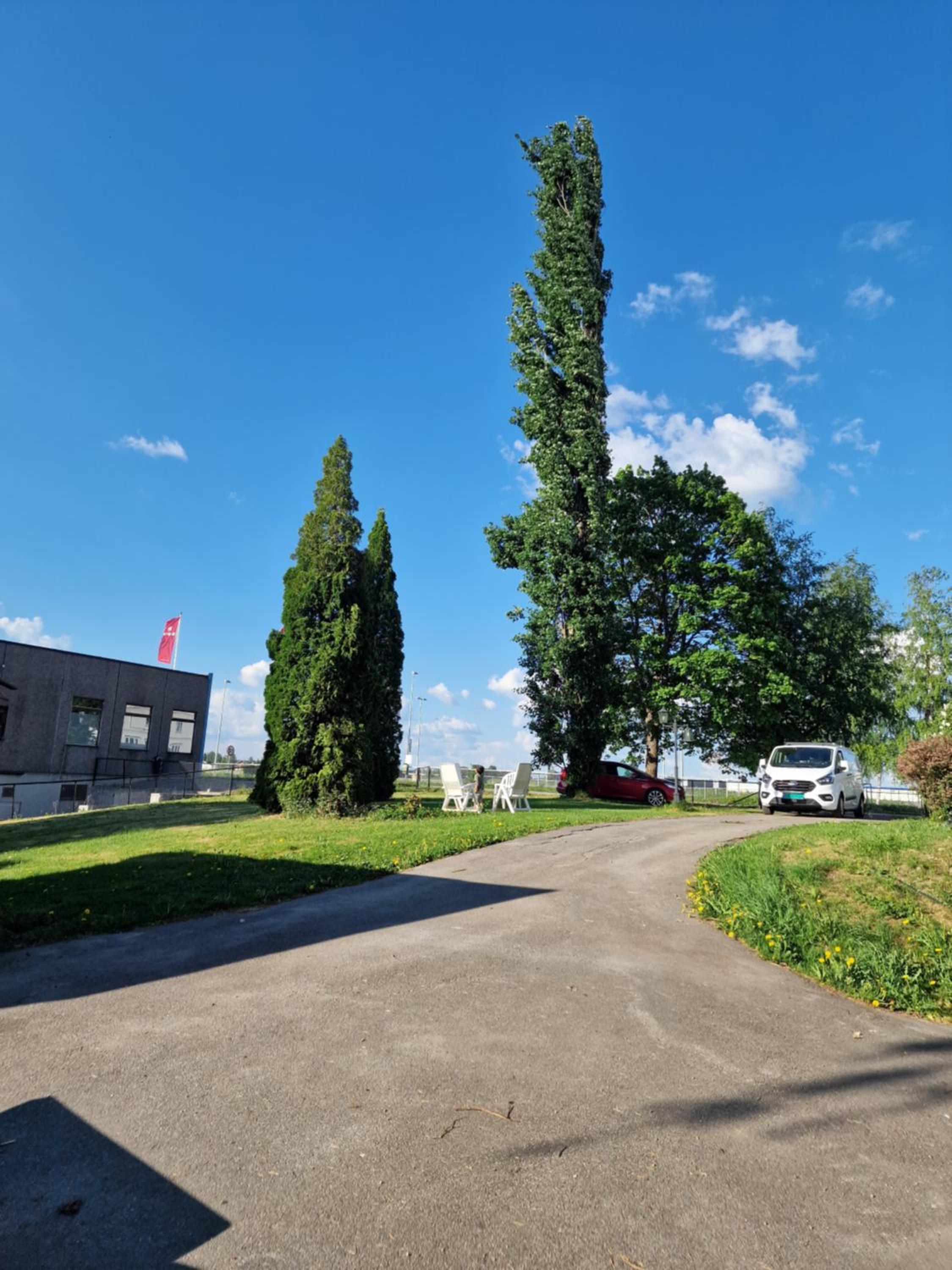 Photo 21