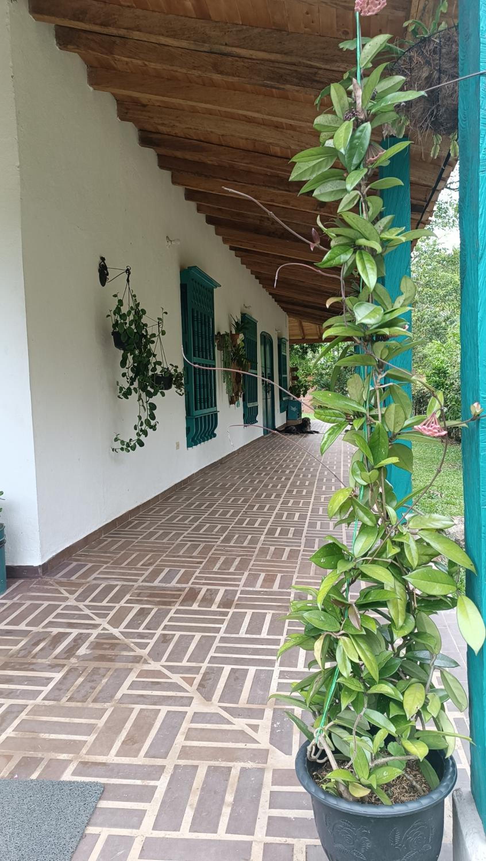El Jardín de Flora