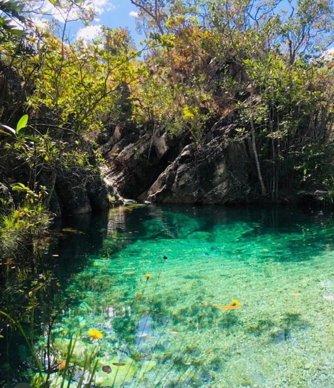 Chalé Pequi Conforto e Natureza chale com ar condicionado e maquina de lavar