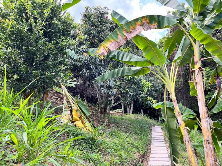 Casa Campestre en Anapoima