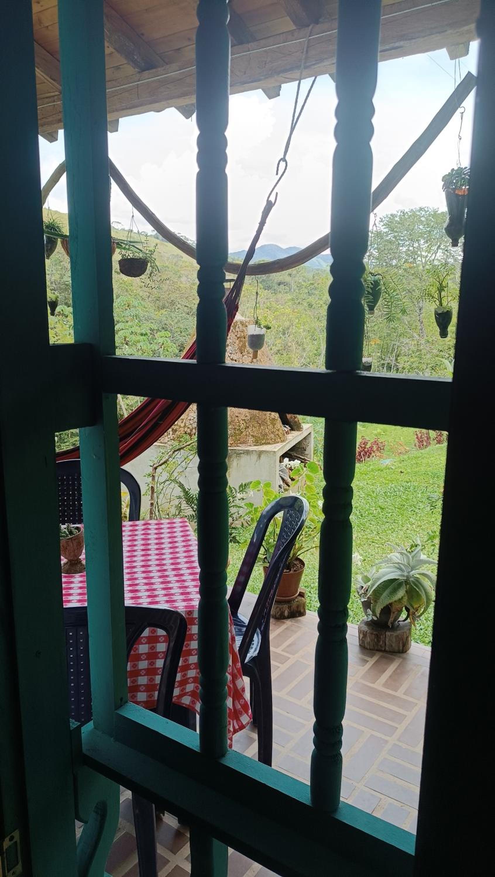 El Jardín de Flora