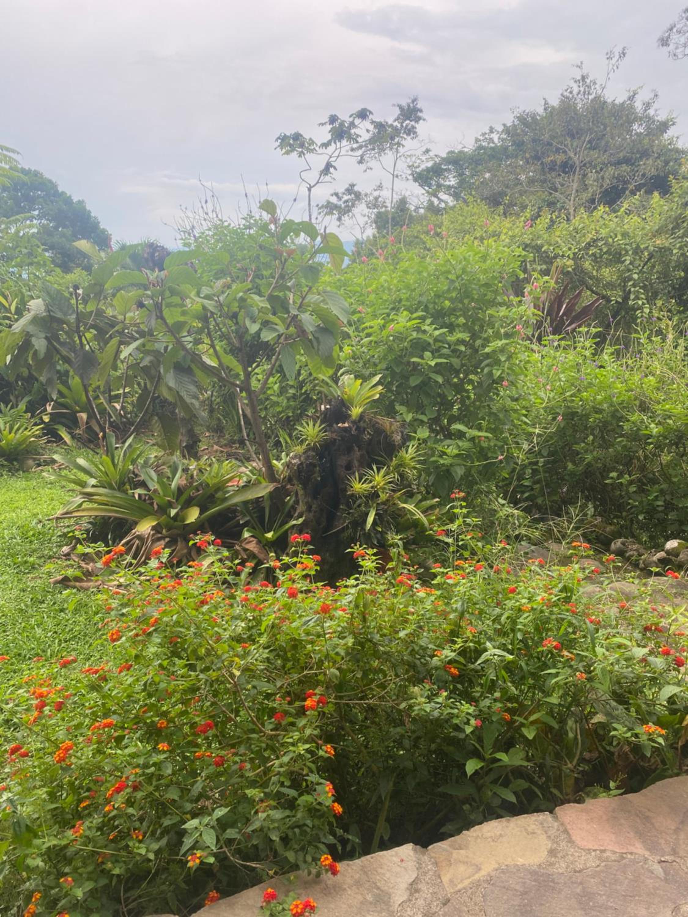 Birds & Breakfast Costa Rica