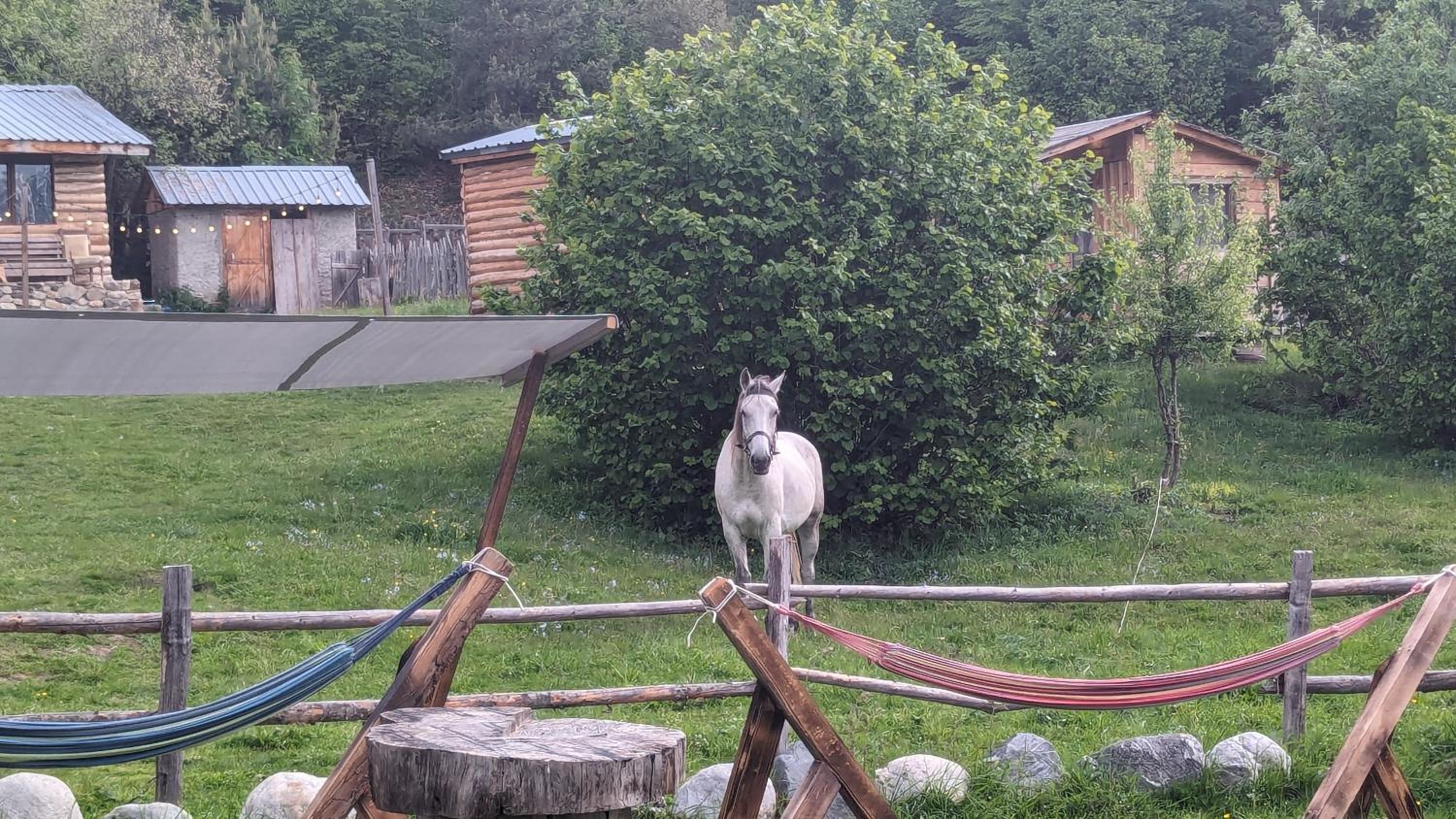Heshkili huts and cabins Svaneti
