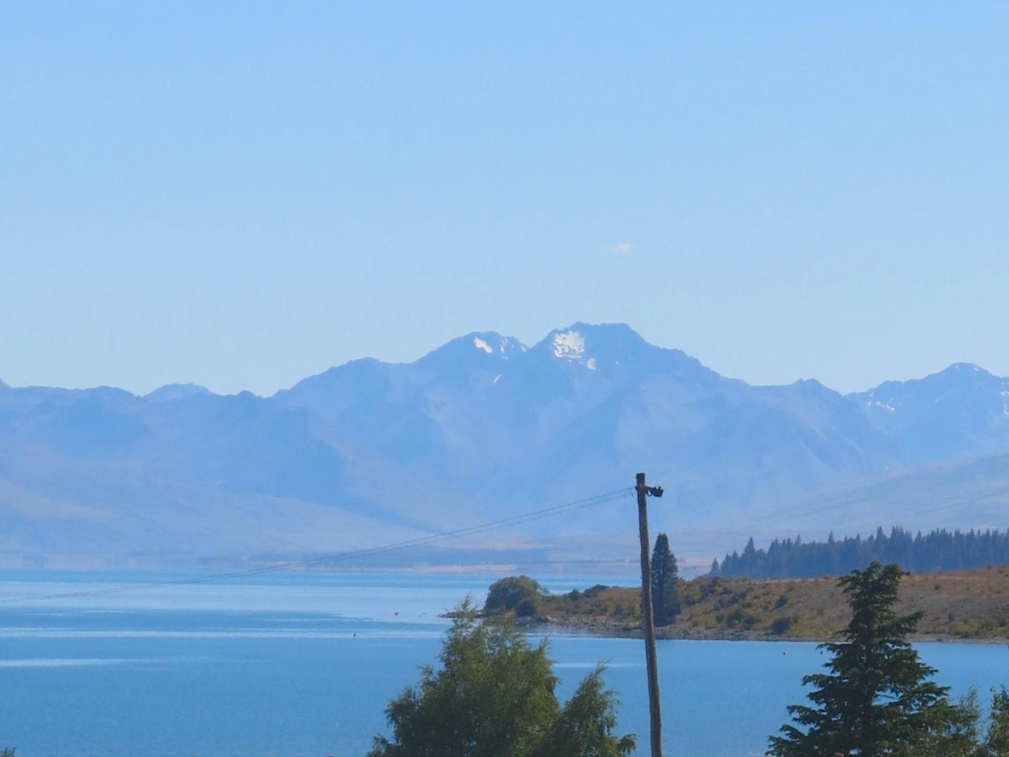 Silver Tussock - Lake Tekapo