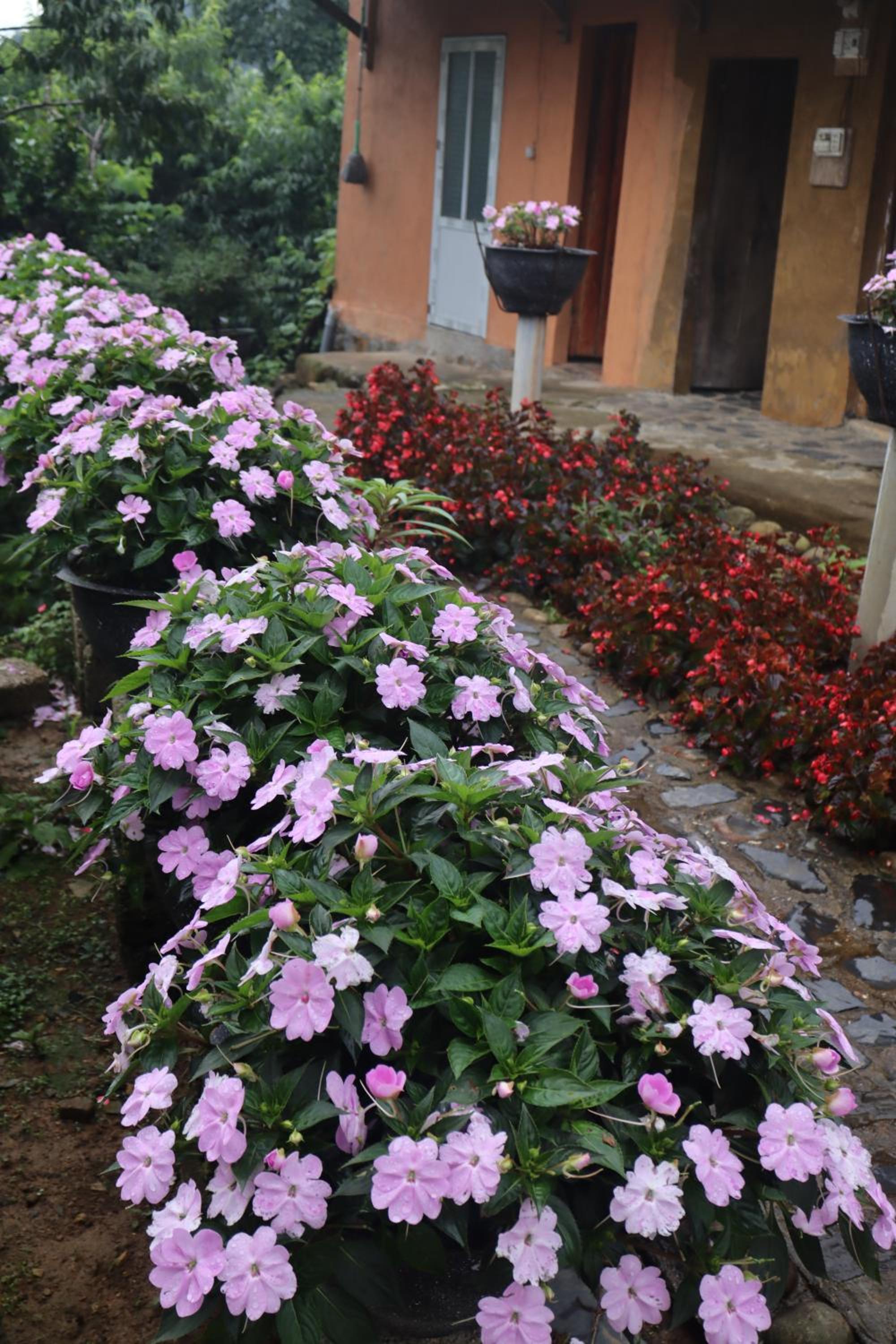 Photo 8