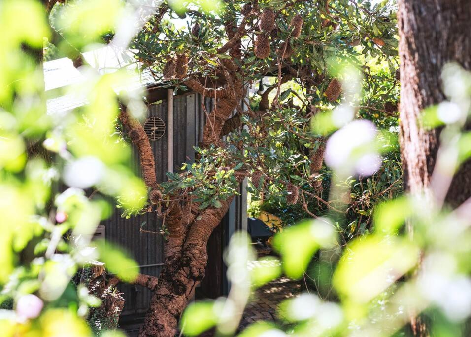 Luxury Studio with Hot Tub in Leura