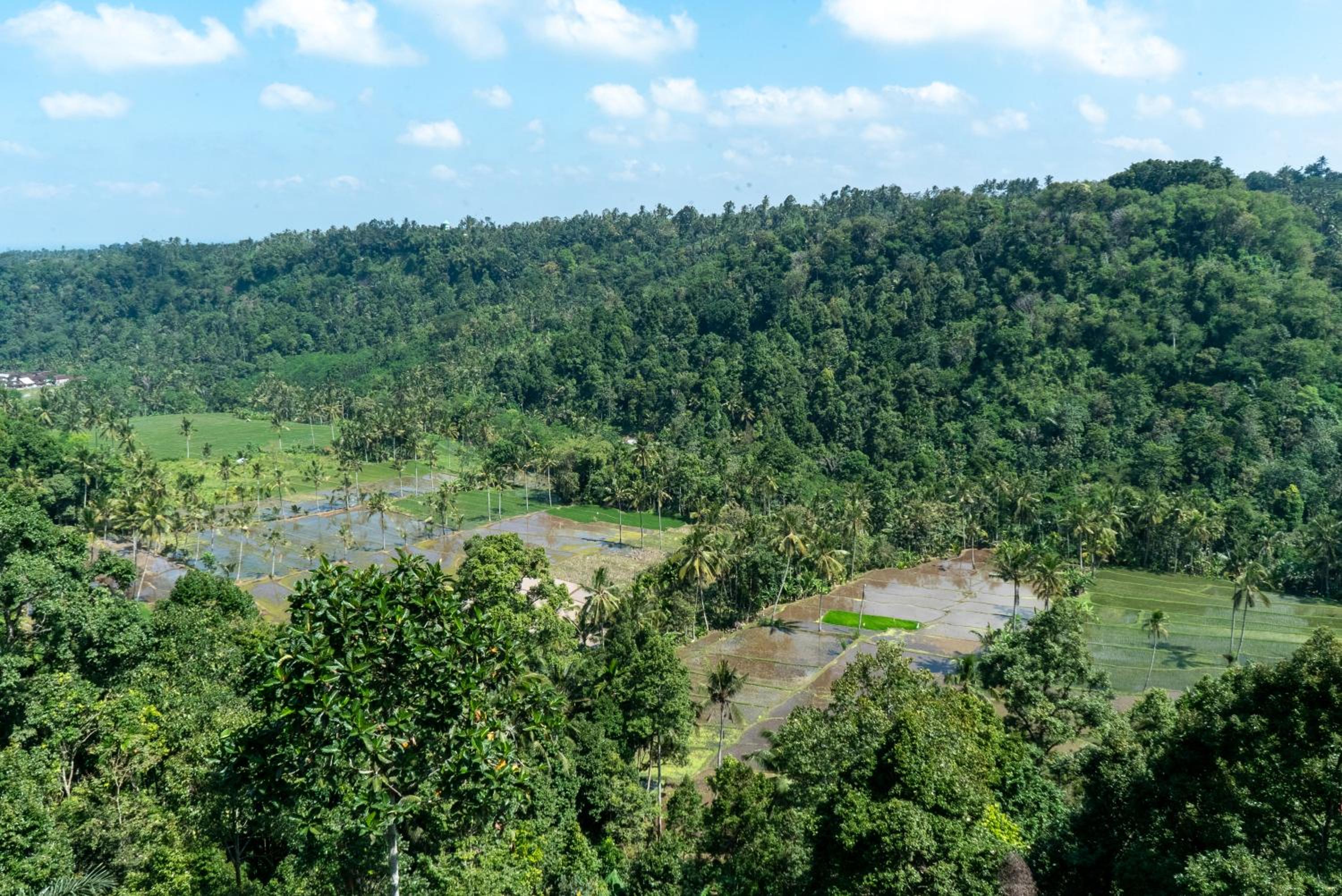 Domisili Ijen Cliff By Fays Hospitality view 3