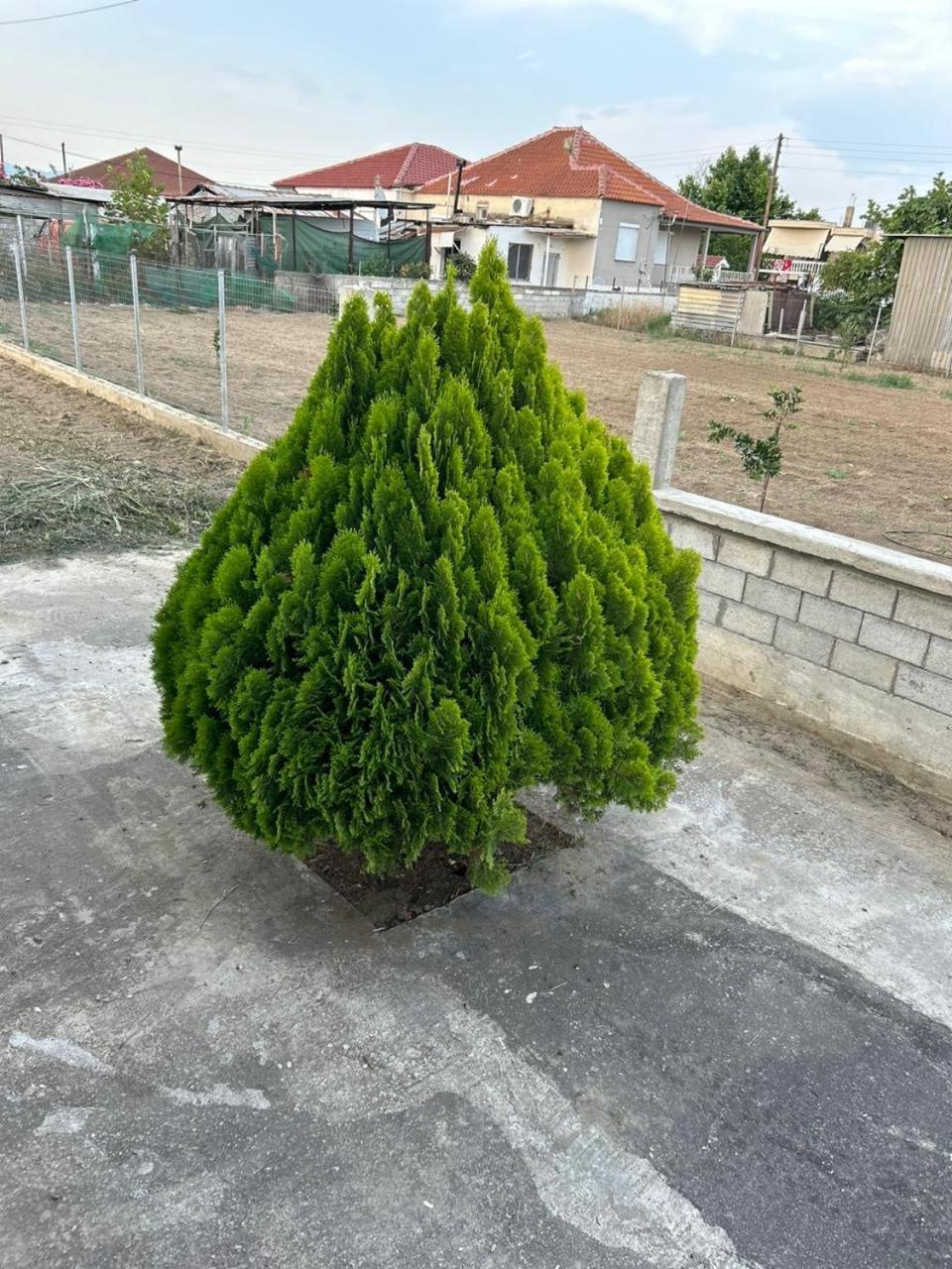 Photo 26