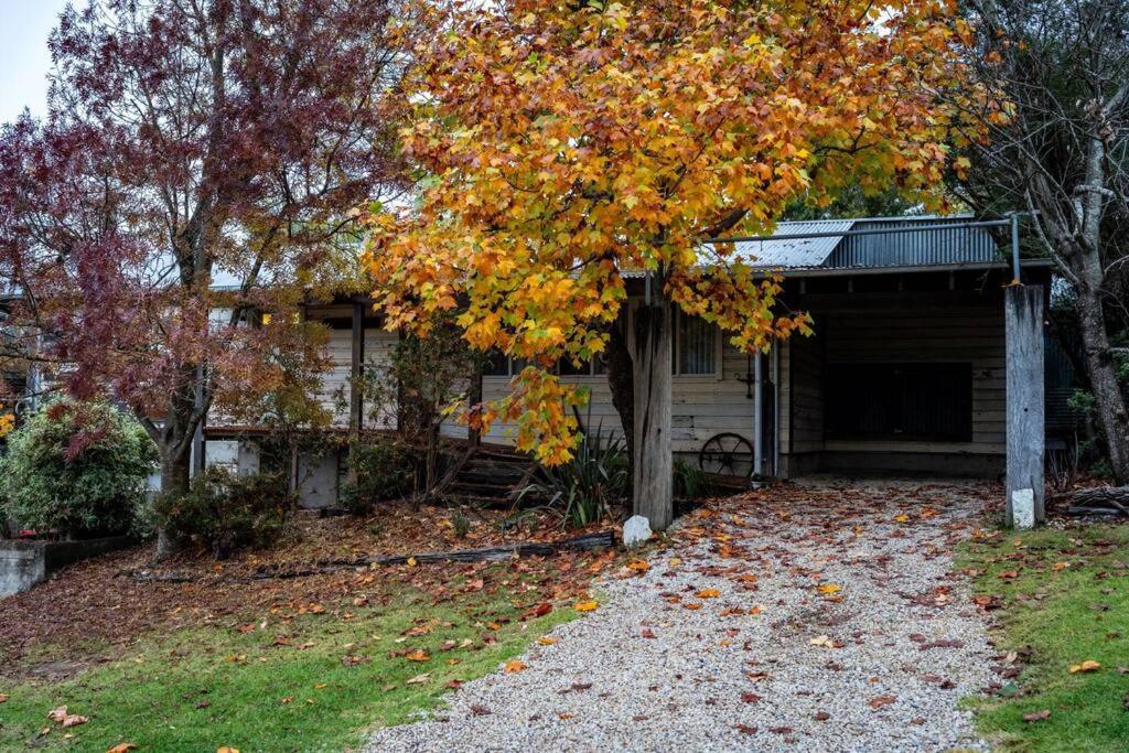 Hotel Leura Haven Homestead - Grand rustic cottage for 4 - Image 1