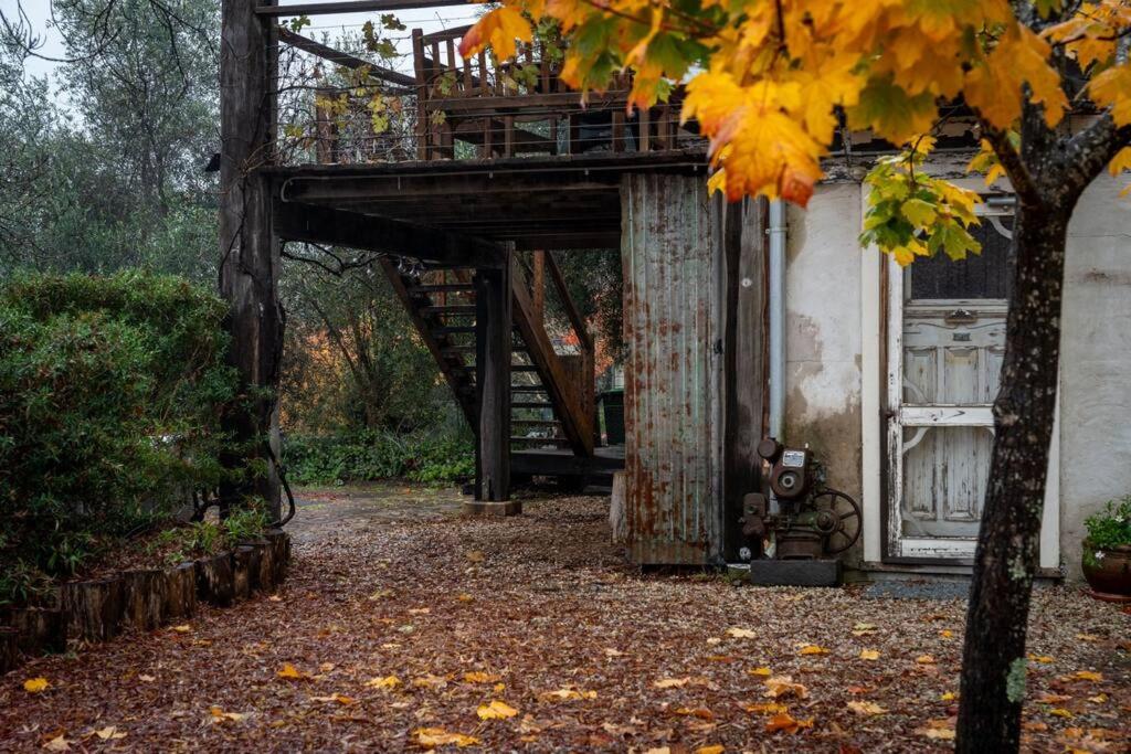 Leura Haven Homestead - Grand rustic cottage for 4
