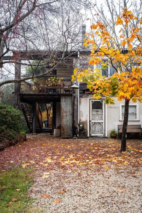 Leura Haven Homestead - Grand rustic cottage for 4
