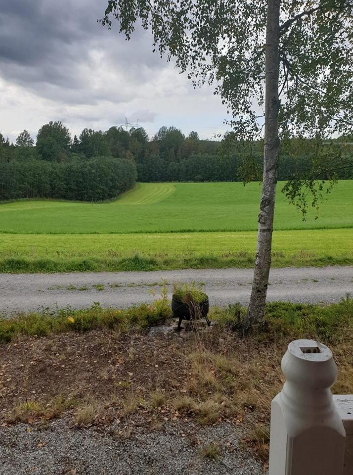 Photo 36