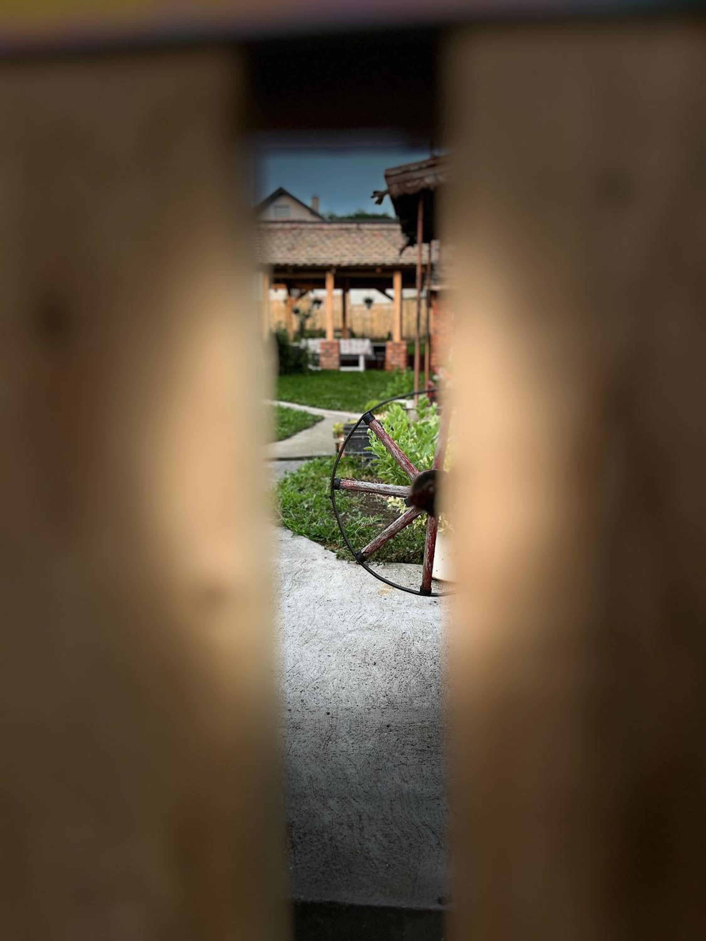 Photo 15