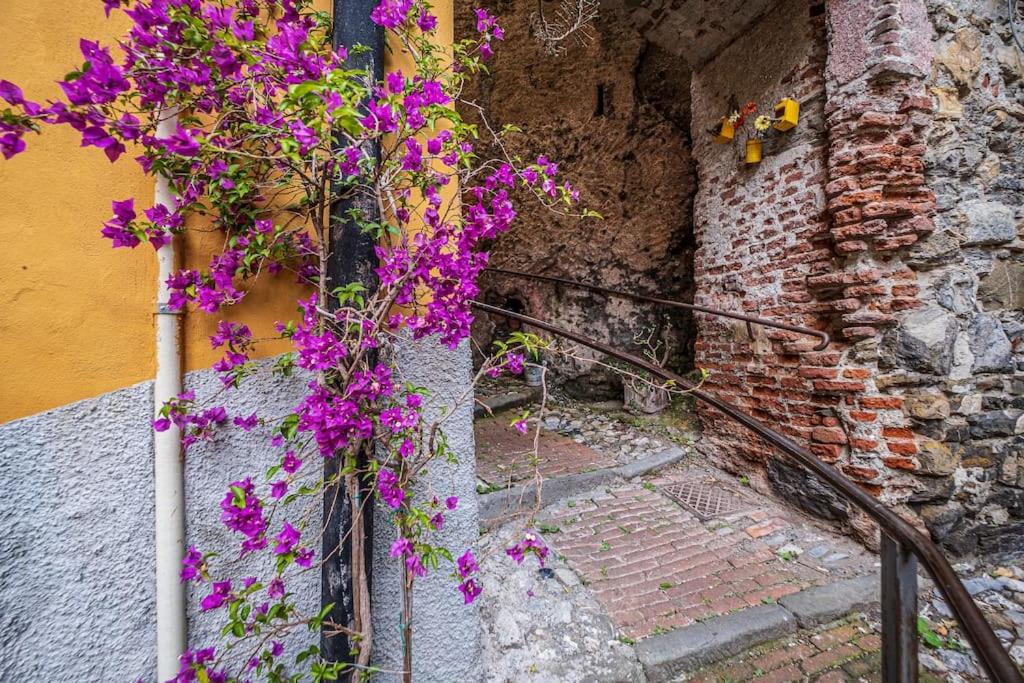 La Casa di Alice in Centro view 2
