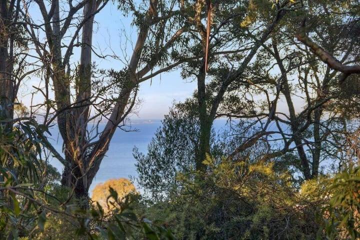 Treetops-Large Home 9km to CBD Sleeps 10