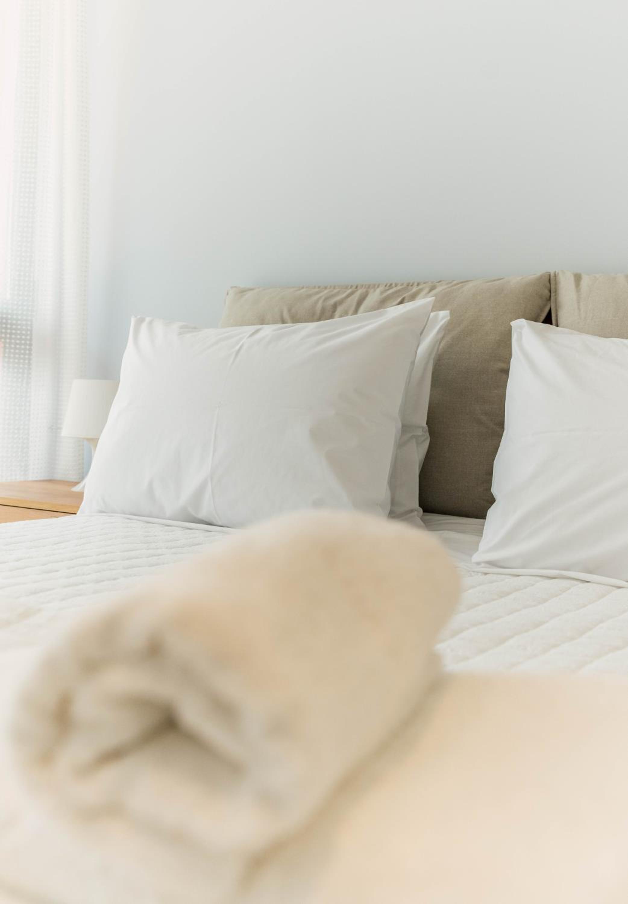 Ydorilion Suites