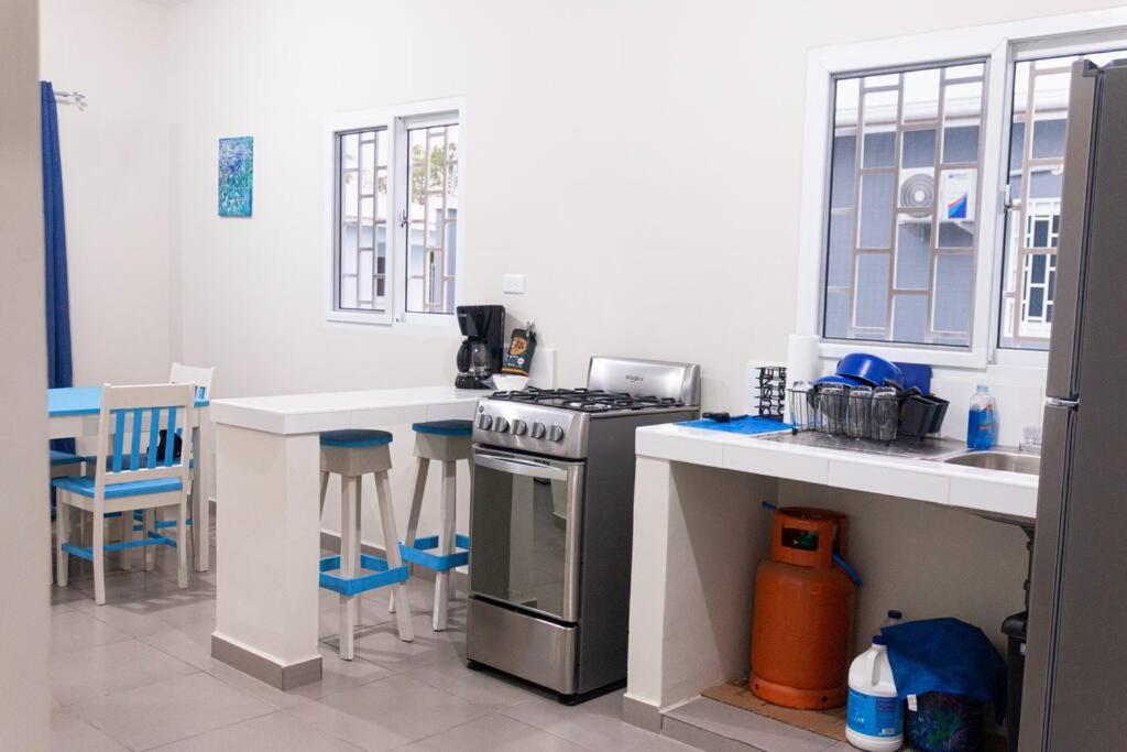 Blue Casita en Tela view 5