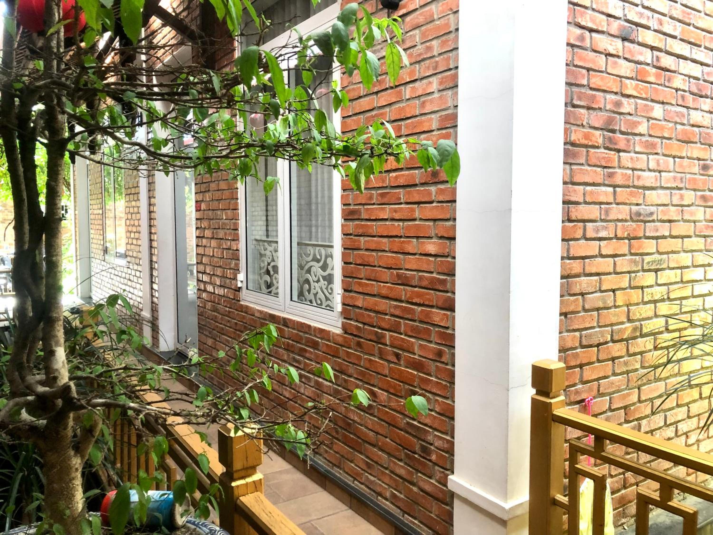 Photo 21