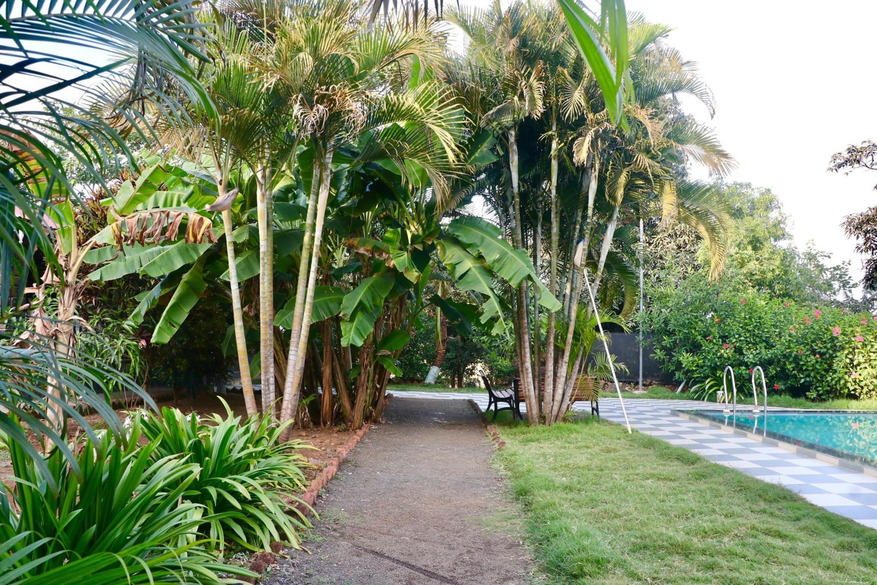 Little Heaven Villa view 5