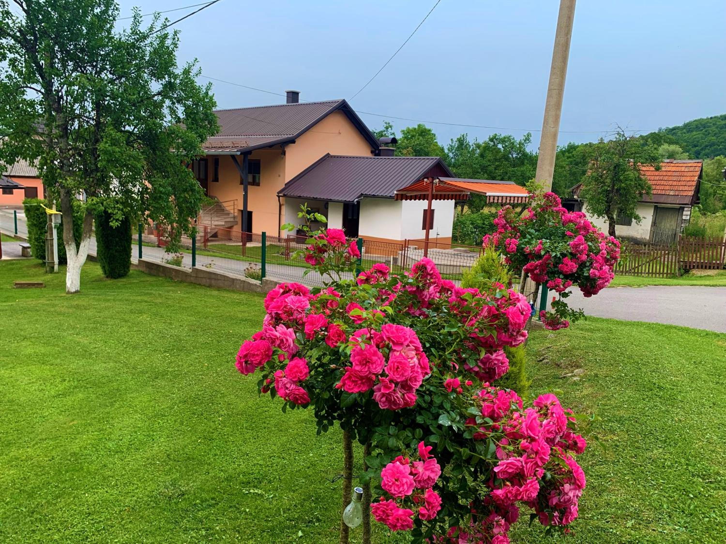 Guesthouse Diva Grabovčeva view 2