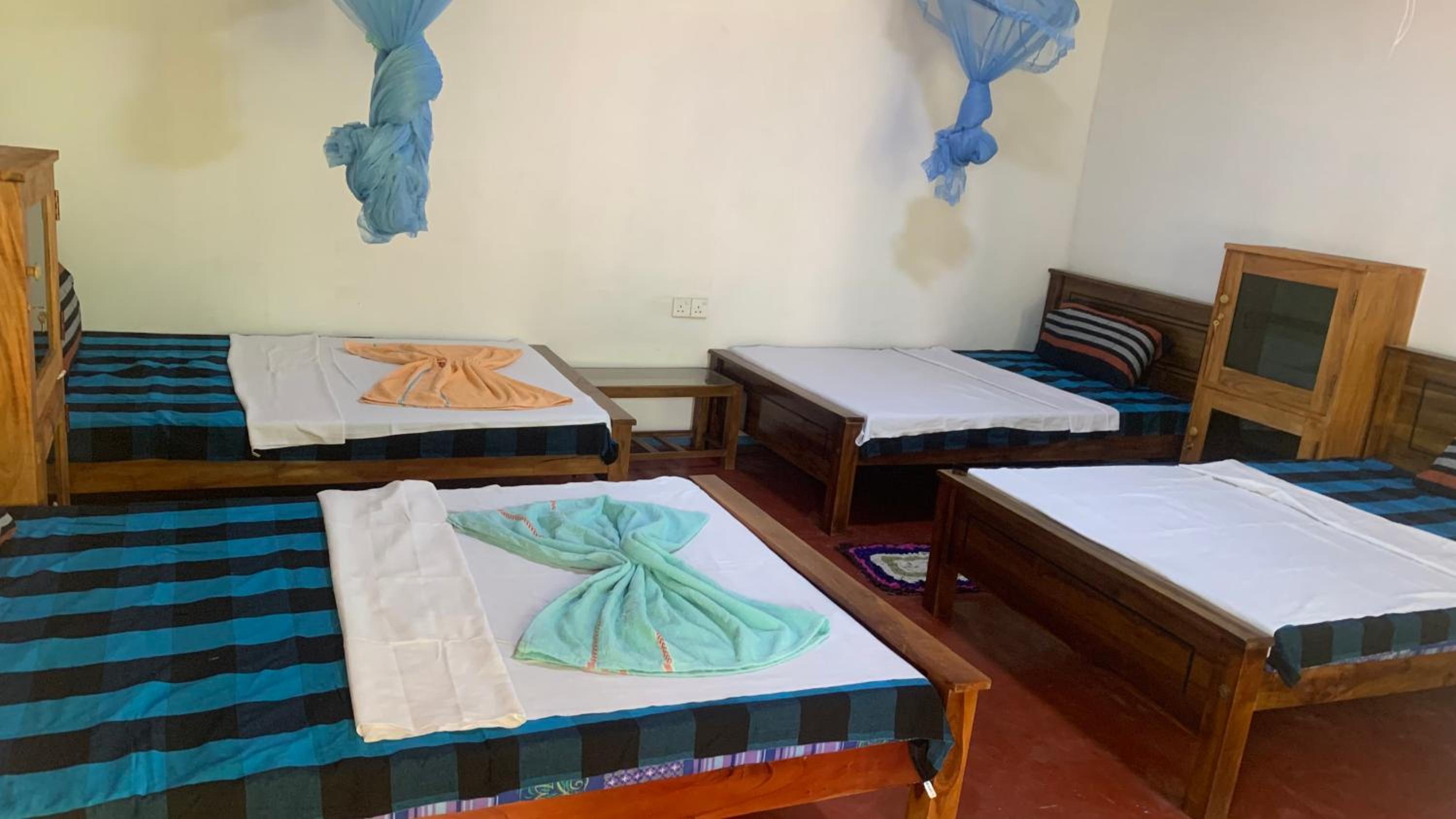 Sigiri Birds Hostel view 2