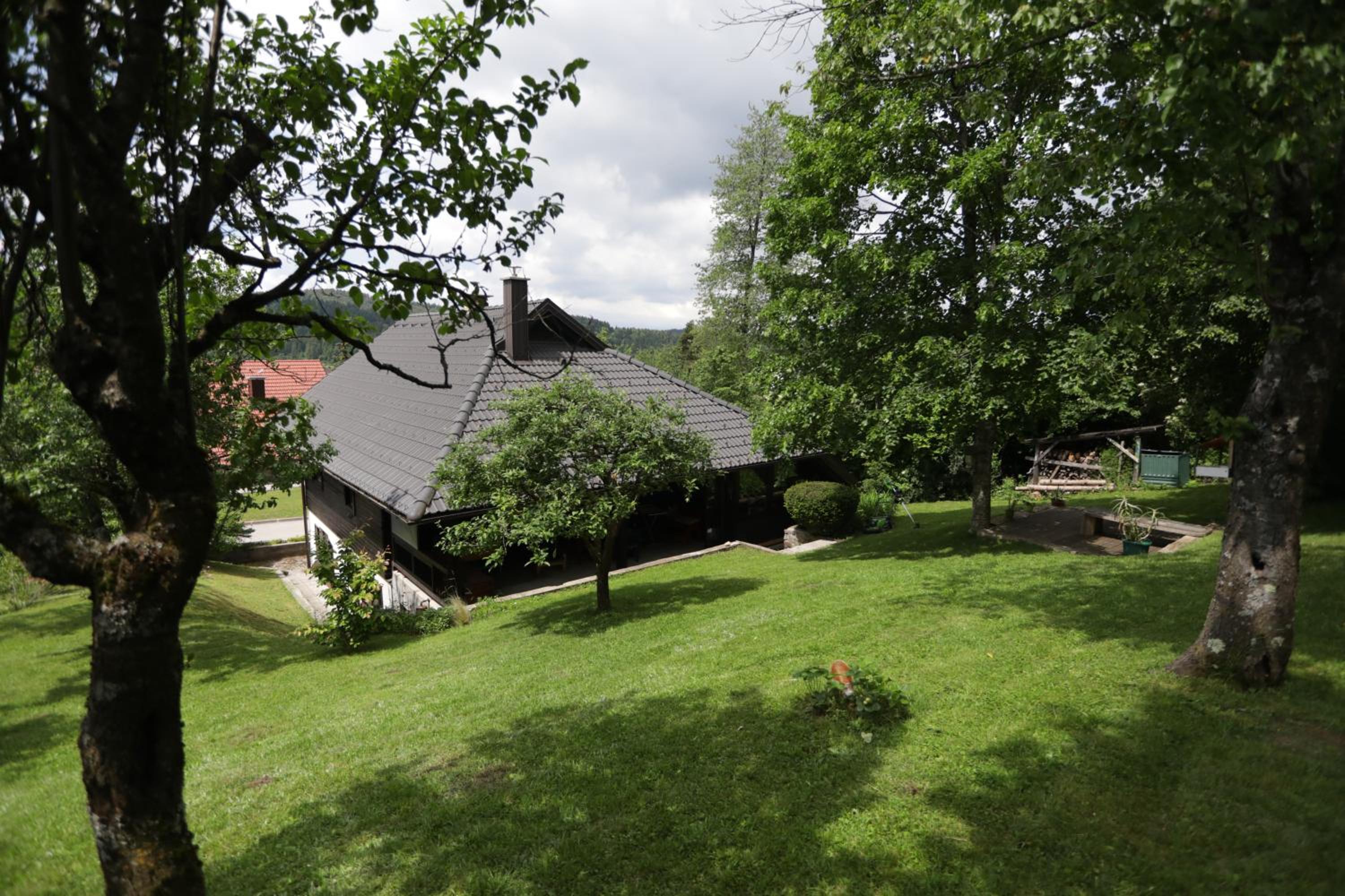 First House - Lovely Holiday Home near Cerknica, photo 15
