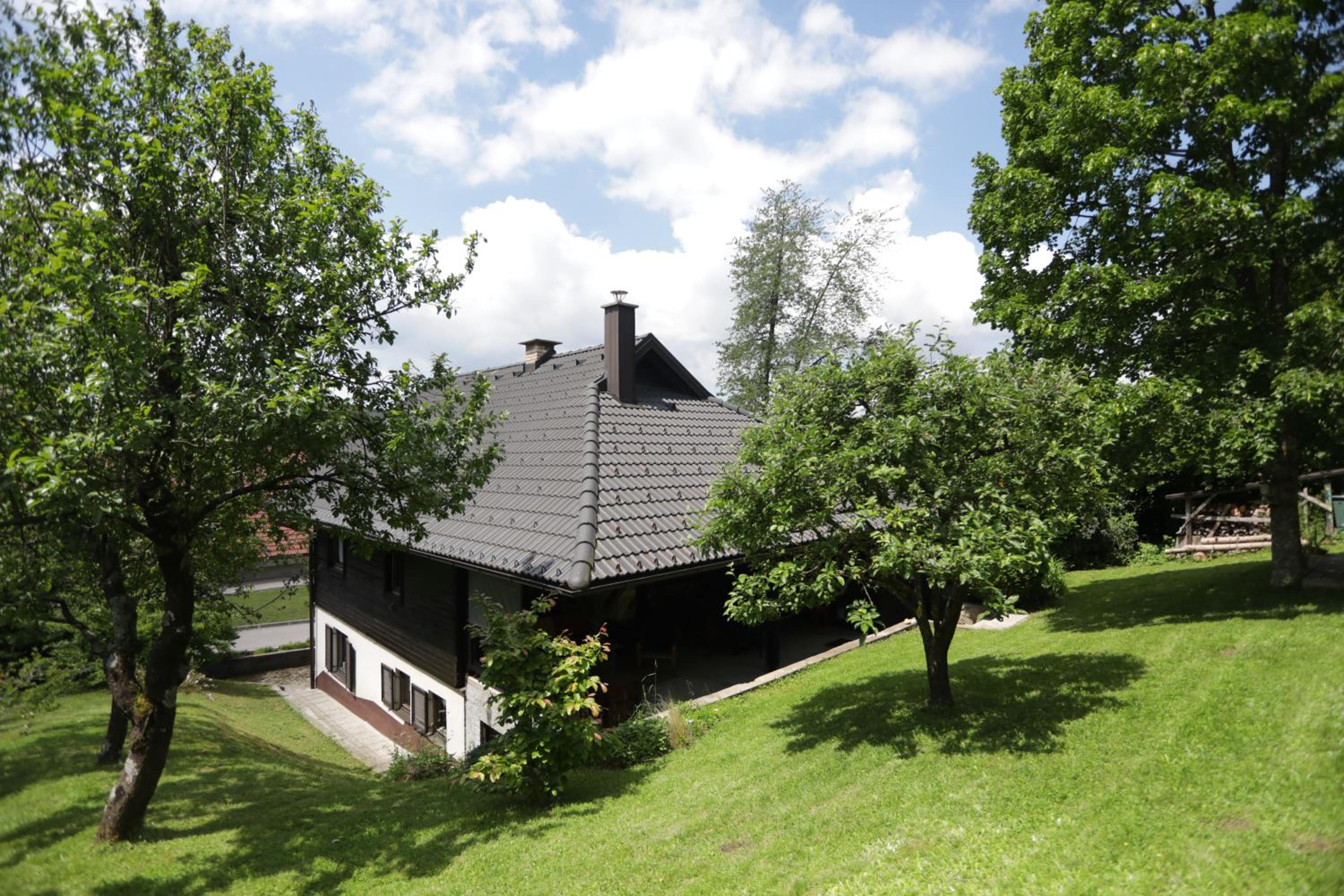 First House - Lovely Holiday Home near Cerknica, photo 27