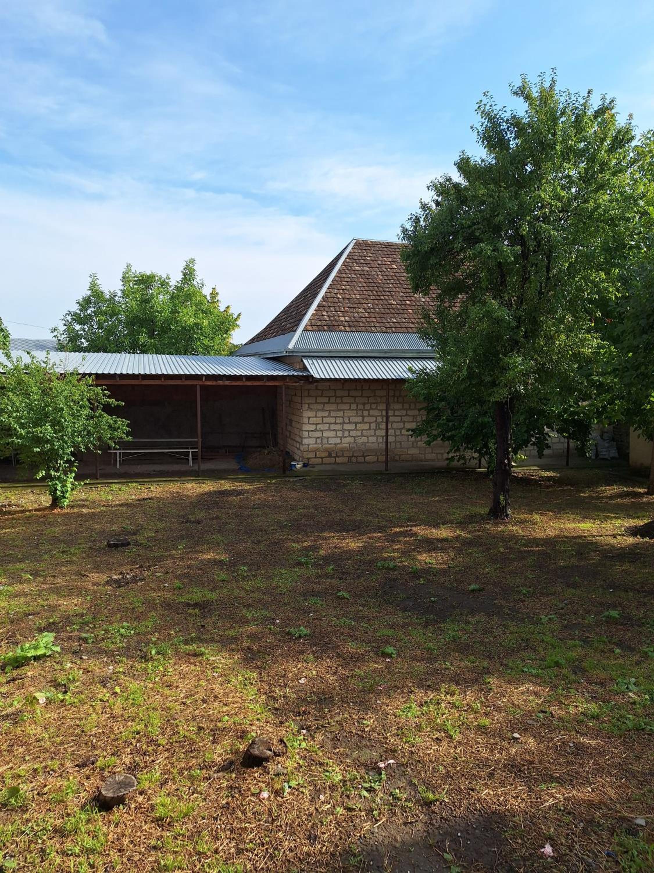 Rovshan's house