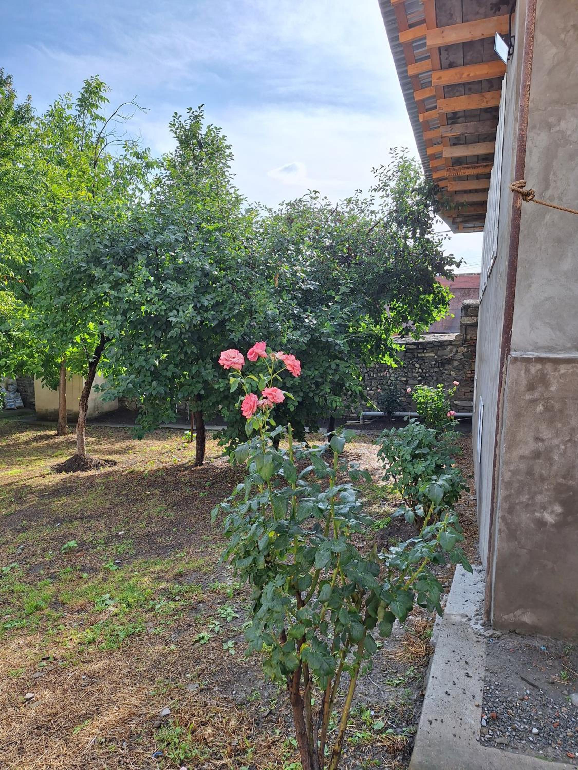 Rovshan's house
