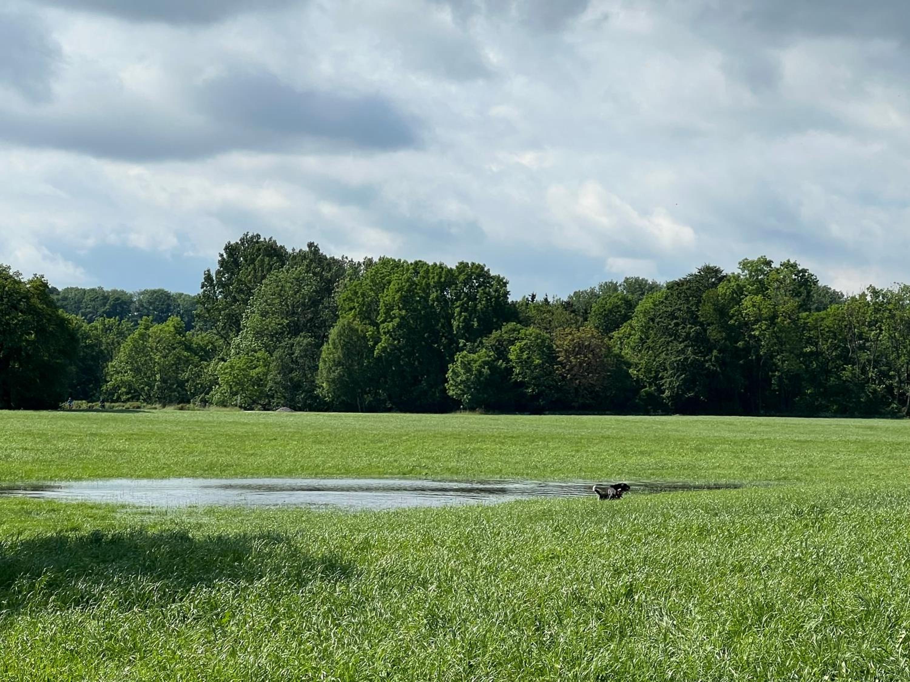 ღLIBORIA I Stylische Villa direkt am See