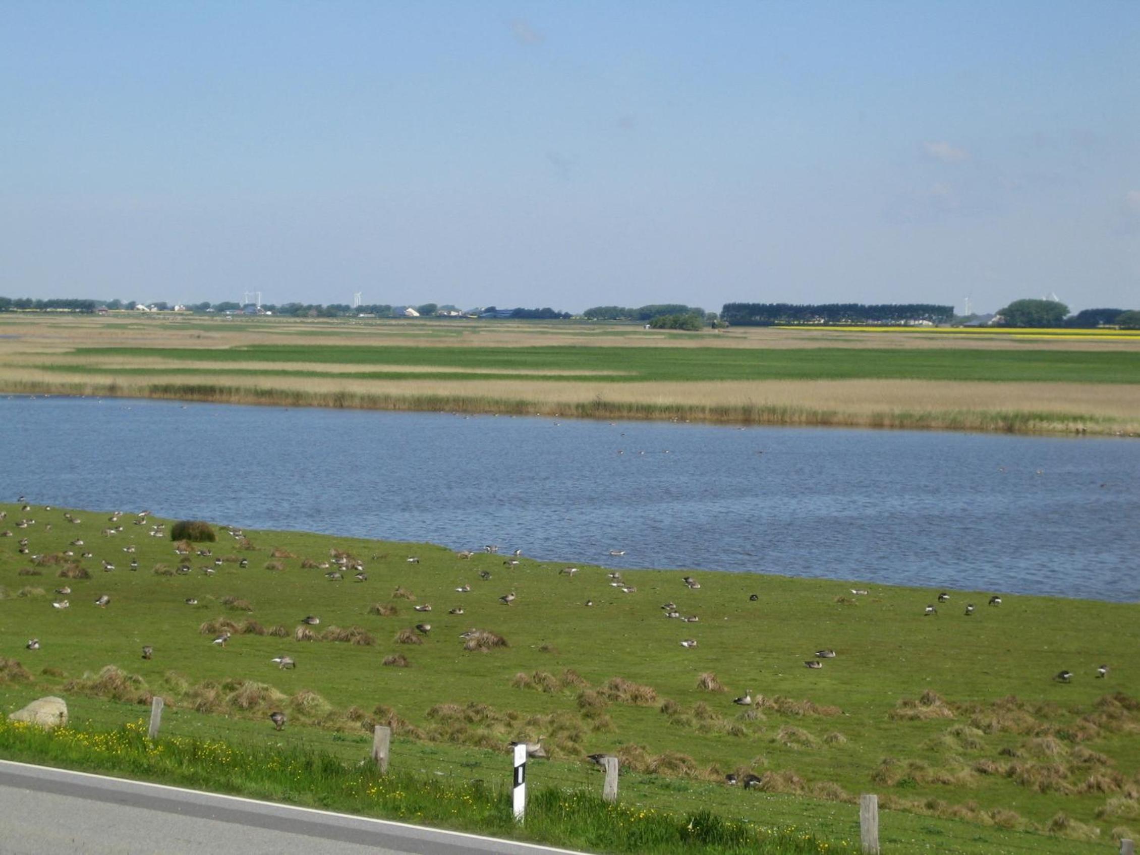 Haus Halligblick, Ferienwohnungen am Wattenmeer, Whg Gröde
