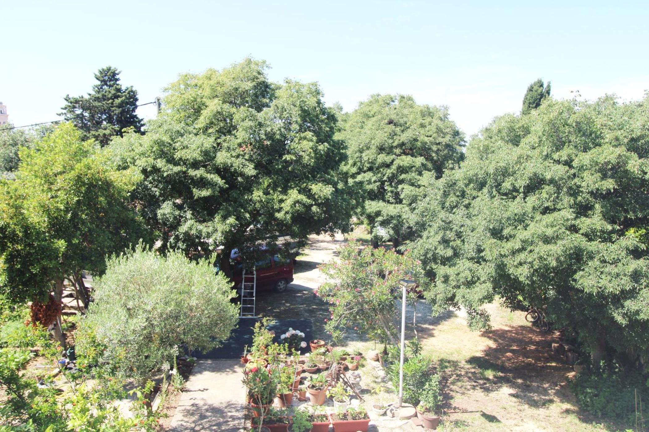 Apartment Marea